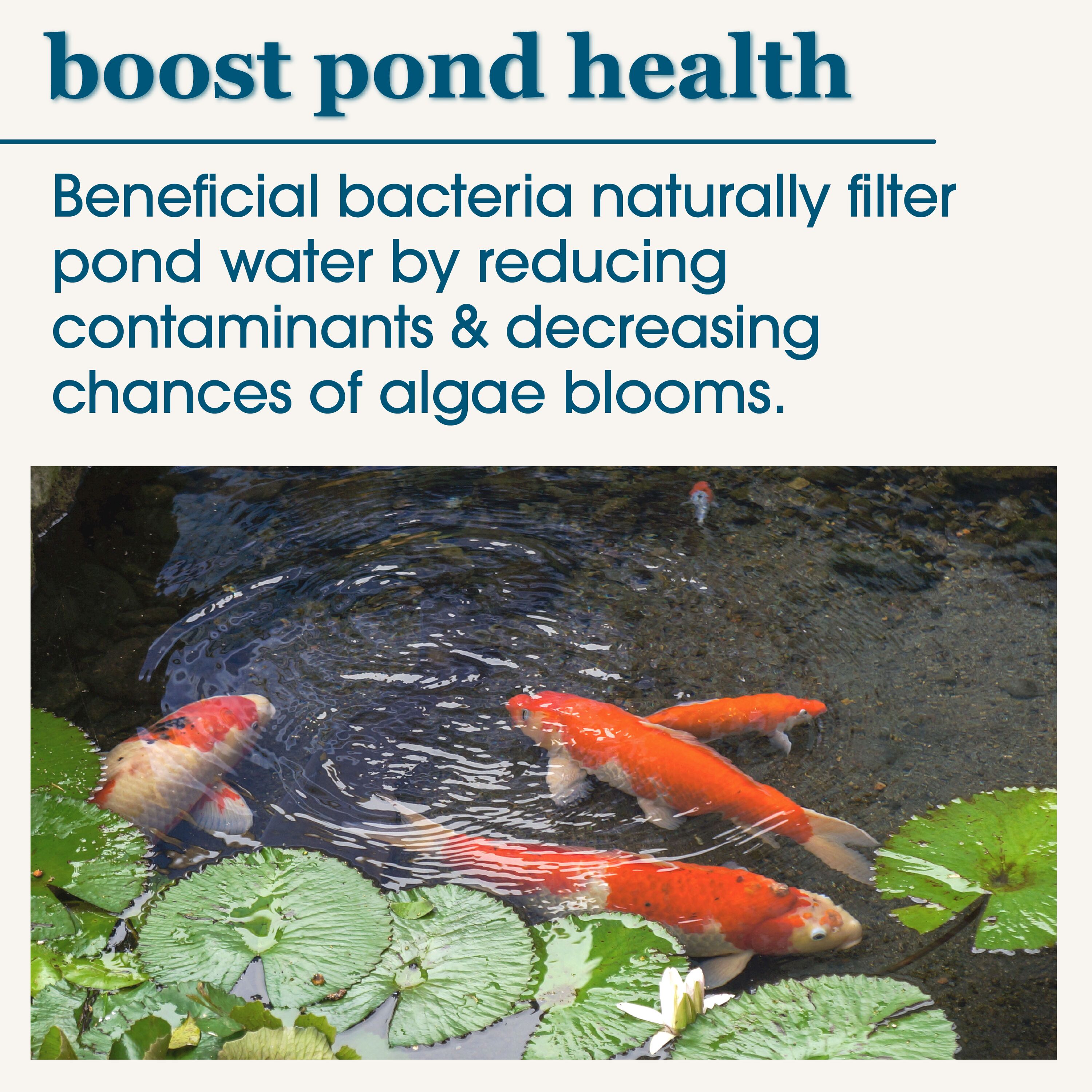 smartpond 54400 Pond-Cleaners - View #9
