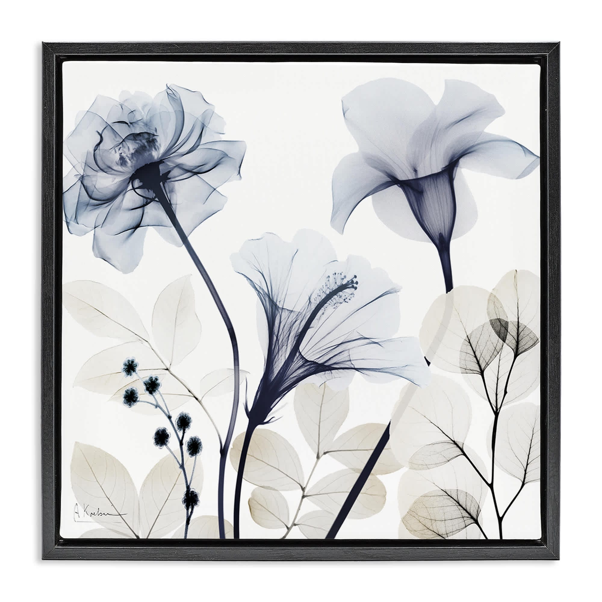 Stupell Industries BS-018-FFB-24X24 Sophisticated Minimal Flowers Black Framed Floater Canvas Wall Art By Albert Koetsier 25 x 25