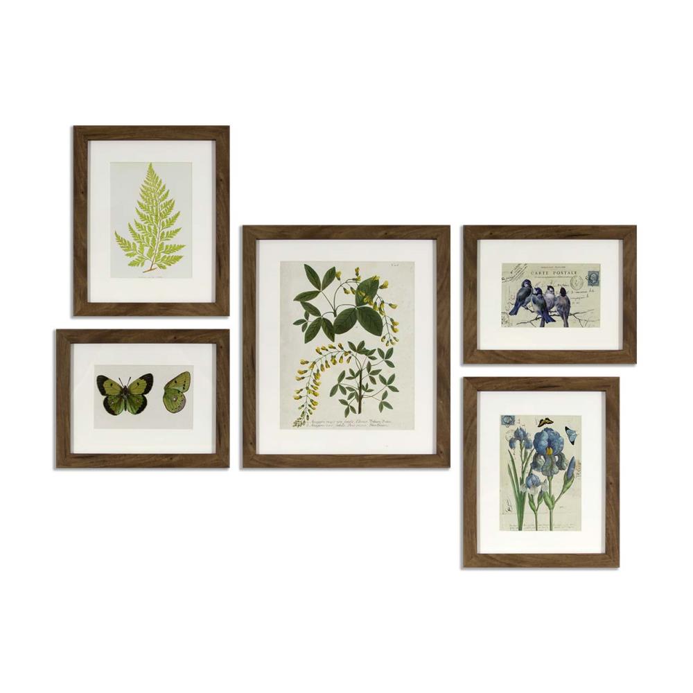  1904-8010LOW Brown Wood Framed 20.5-in H x 26.5-in W Botanical Print