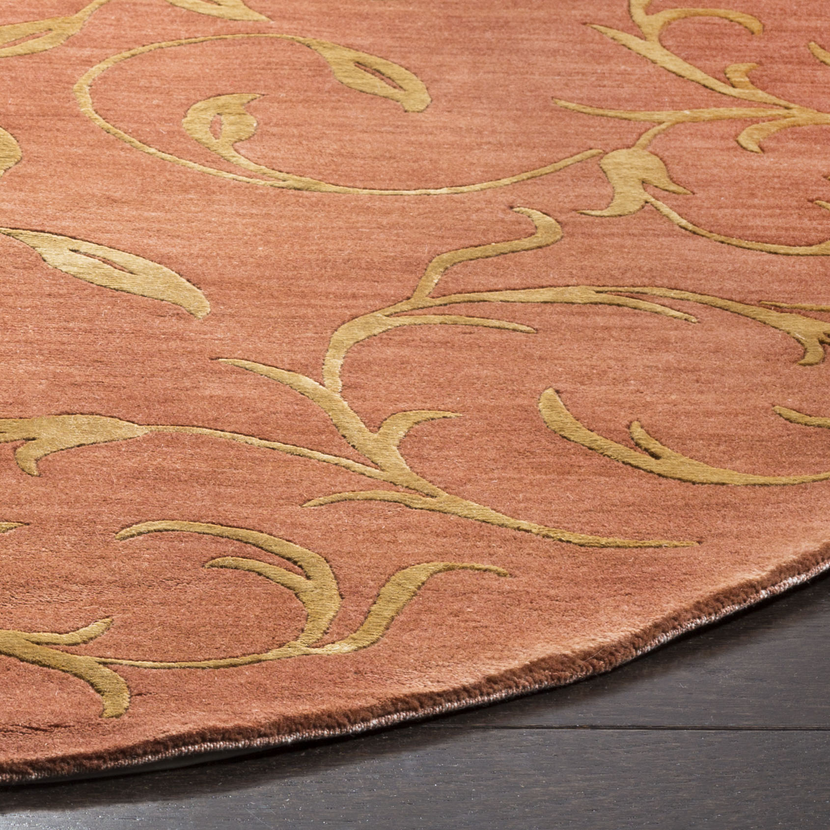 Safavieh TB422C-6R rugs - View #3