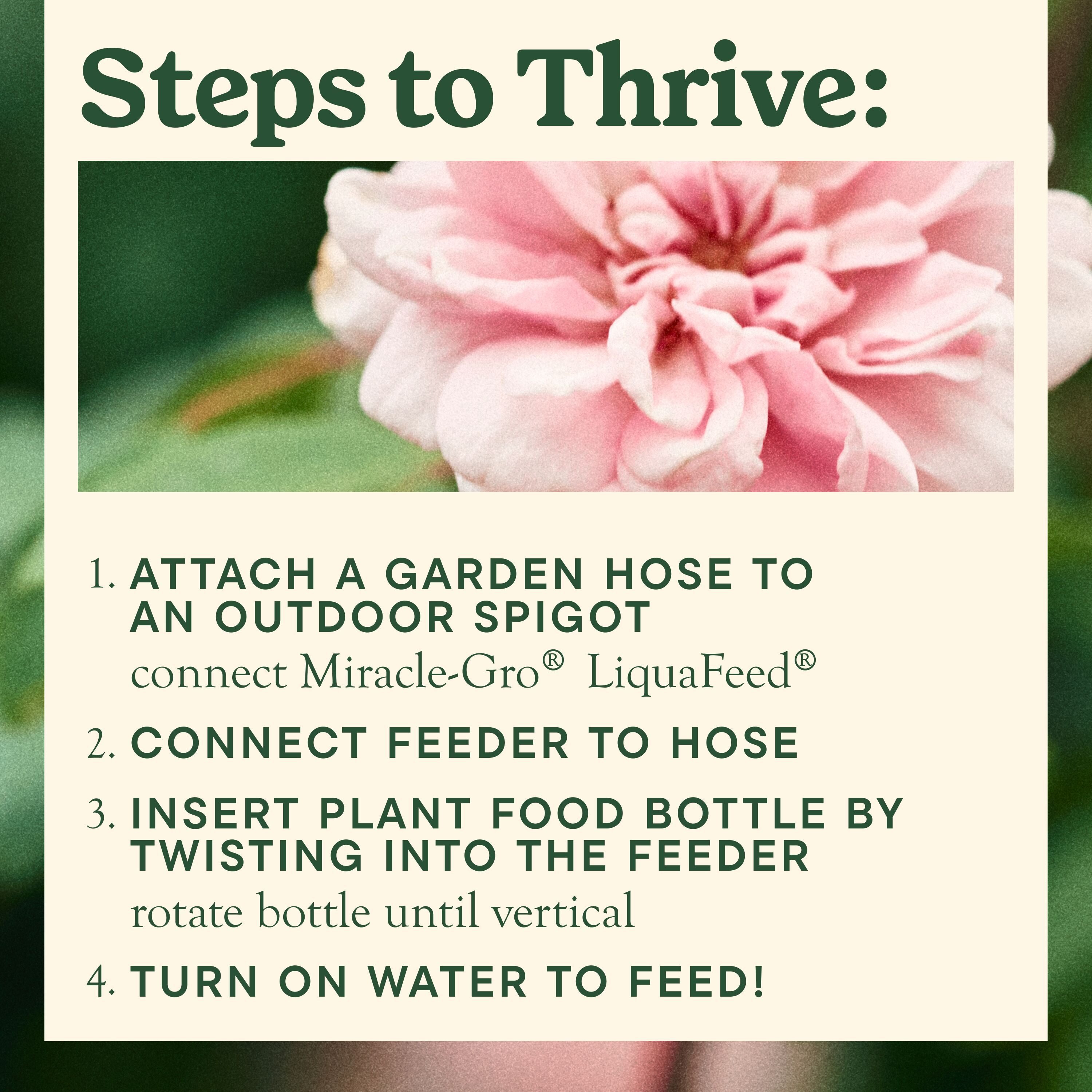 Miracle-Gro 101611 Plant-Food - View #6