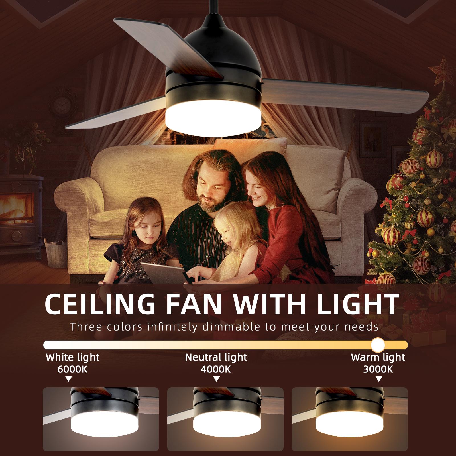 Bayfeve BFSHL-19774-CF Ceiling-Fans - View #5