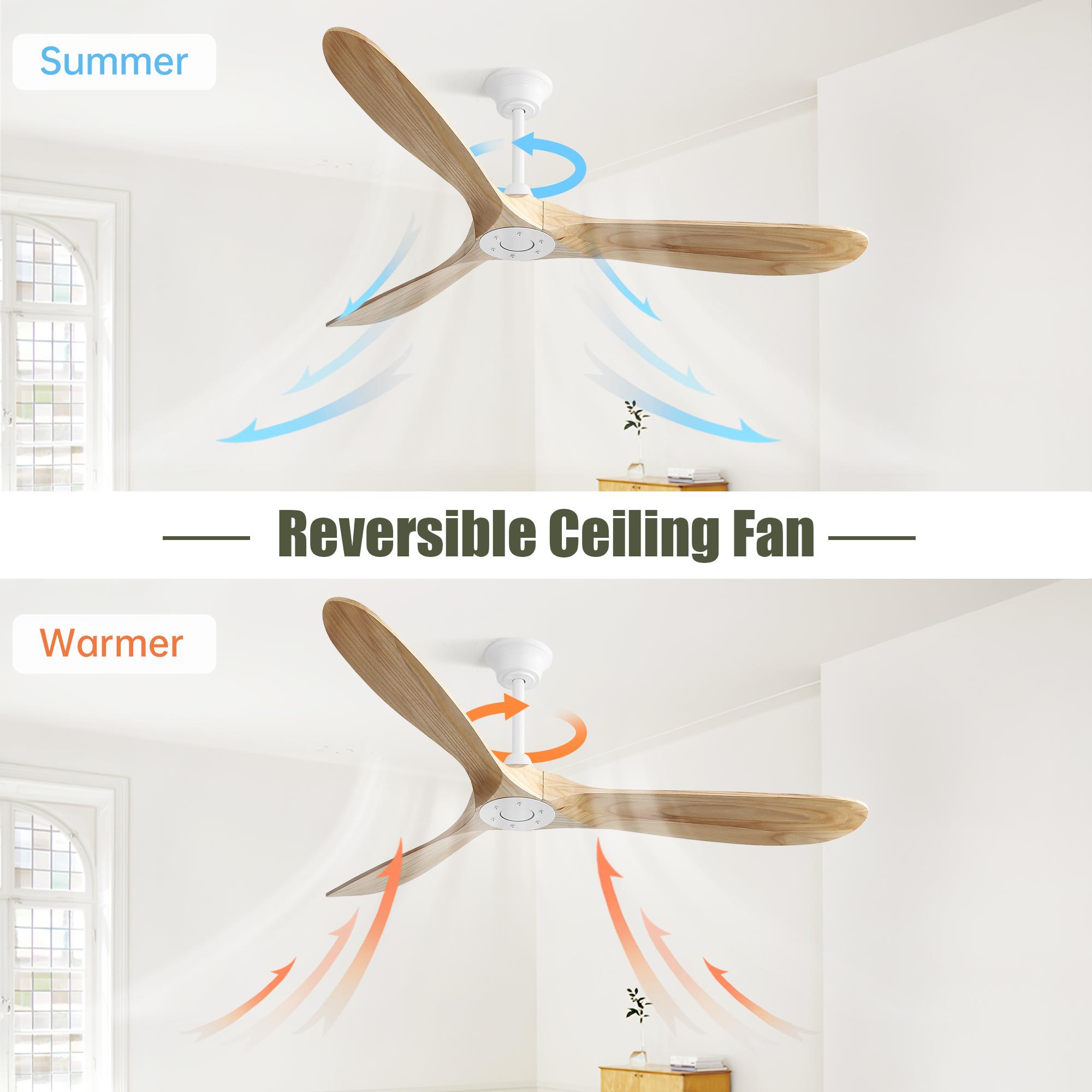 Bayfeve BFKS-86028-CF Ceiling-Fans - View #6