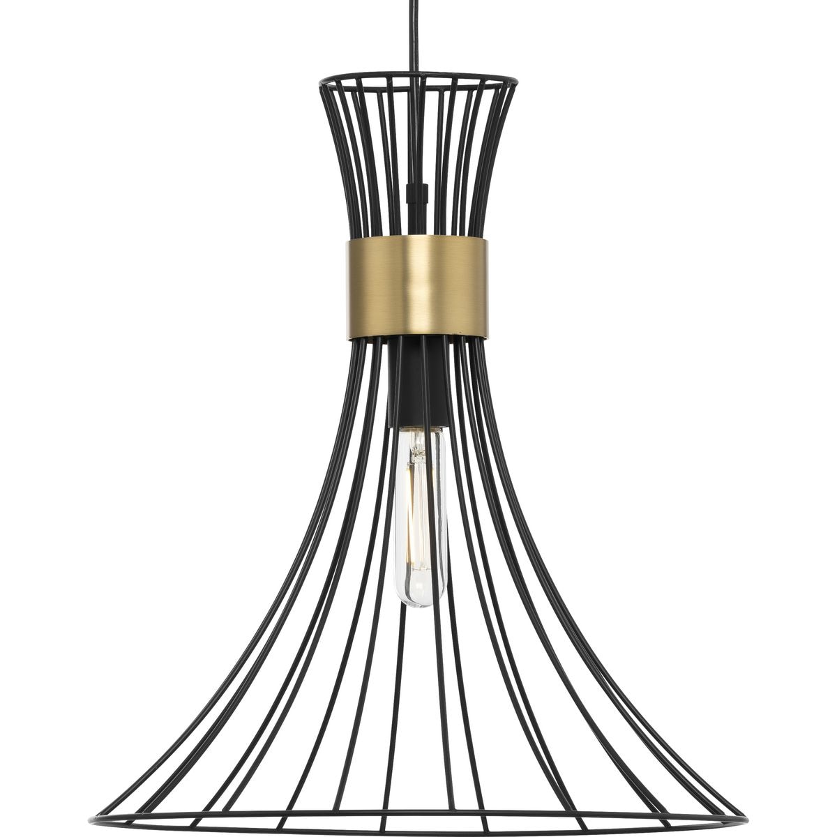 Progress Lighting P500365-31M Pendant-Lights - View #3