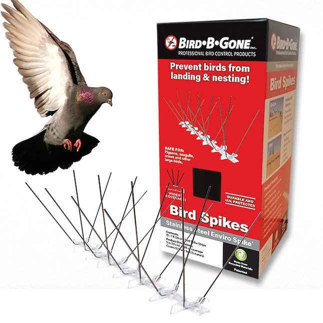 Bird B Gone Envirospike Repellent, Do You Need A Bigger Shower Curtain For Curved Rodents