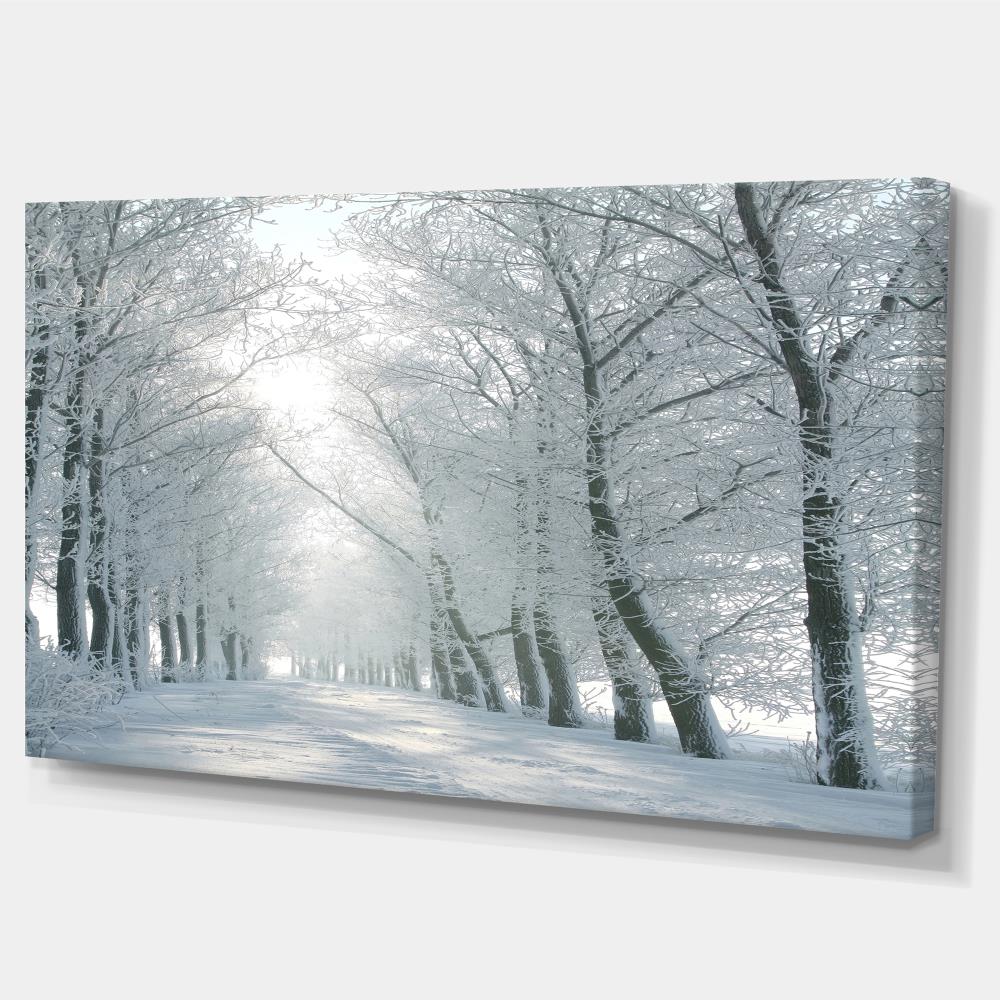 Designart Winter Road Backlit my Morning Sun- Forest Canvas Art