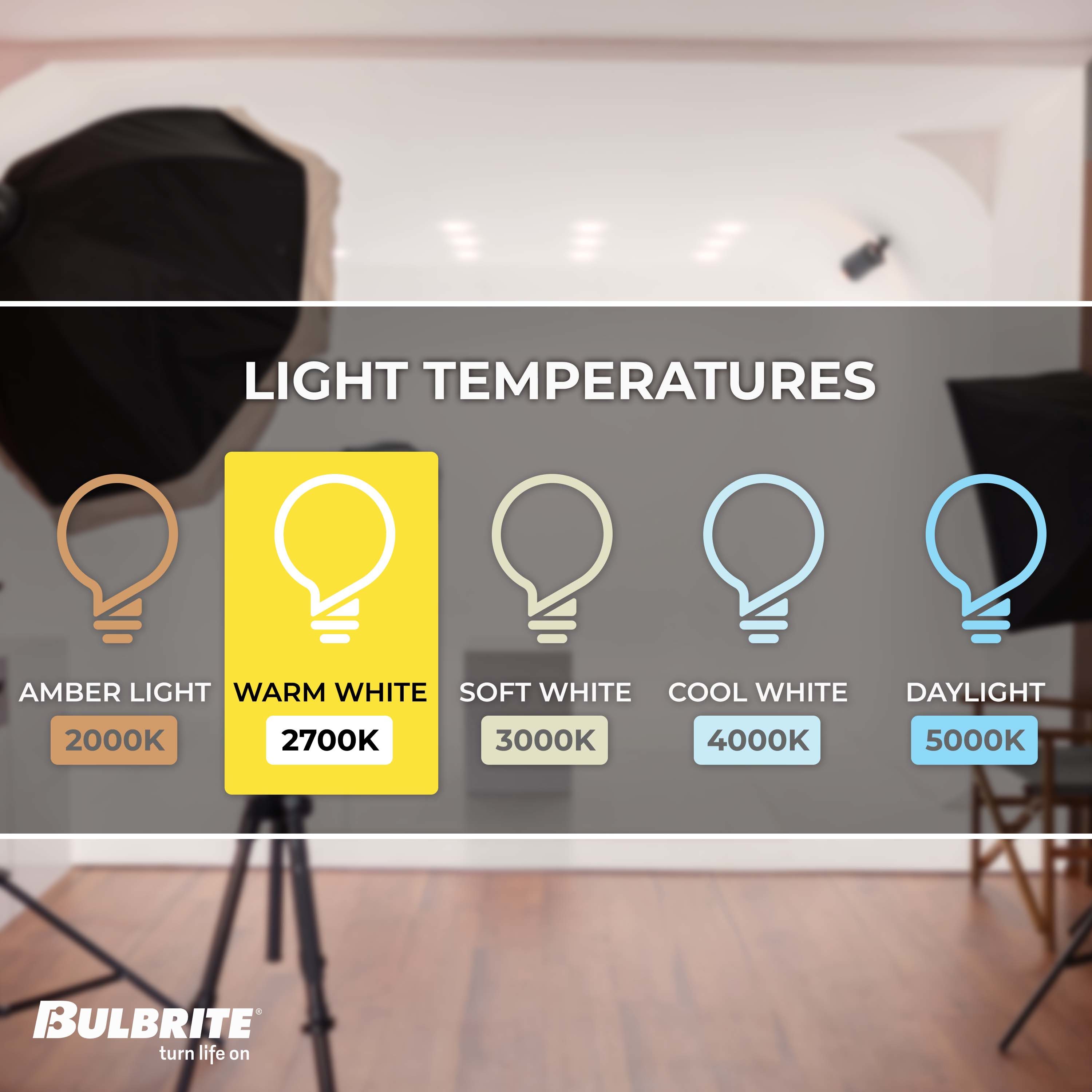 Bulbrite 861265 Dec-Led-Light-Bulbs - View #3