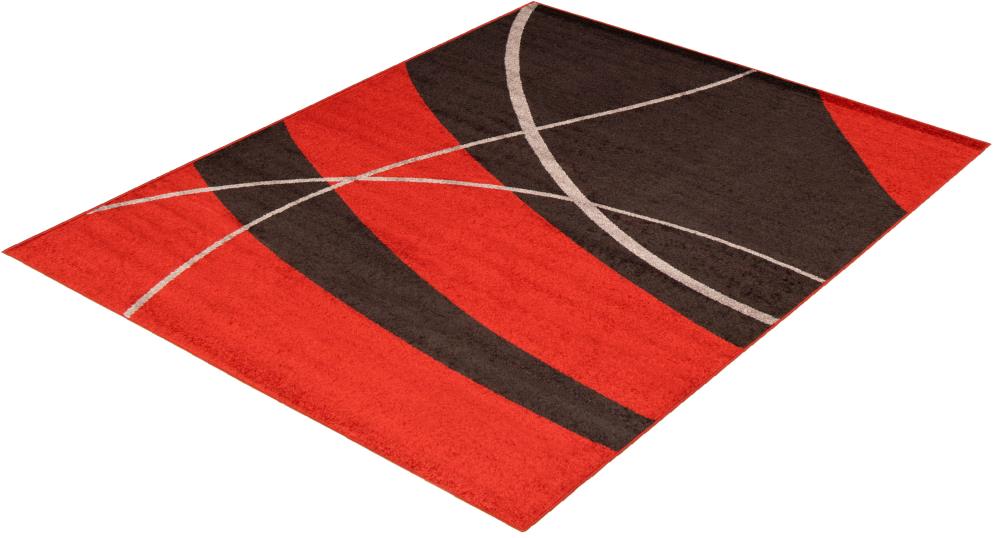 ECARPETGALLERY 315544 rugs - View #4