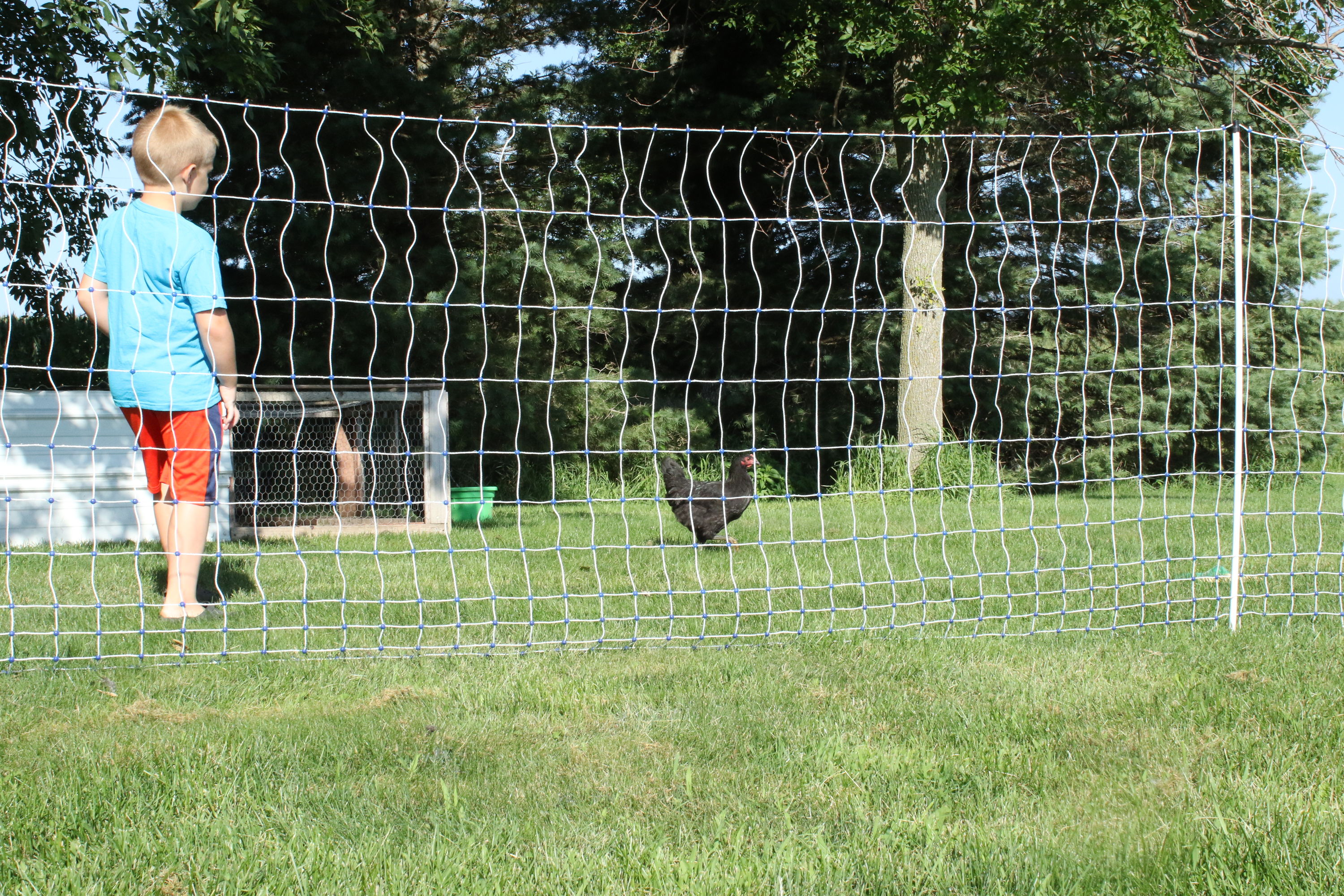 Starkline 164-ft-Gauge Electric Fence Poly Wire in the Electric Fence Wire  & Tape department at