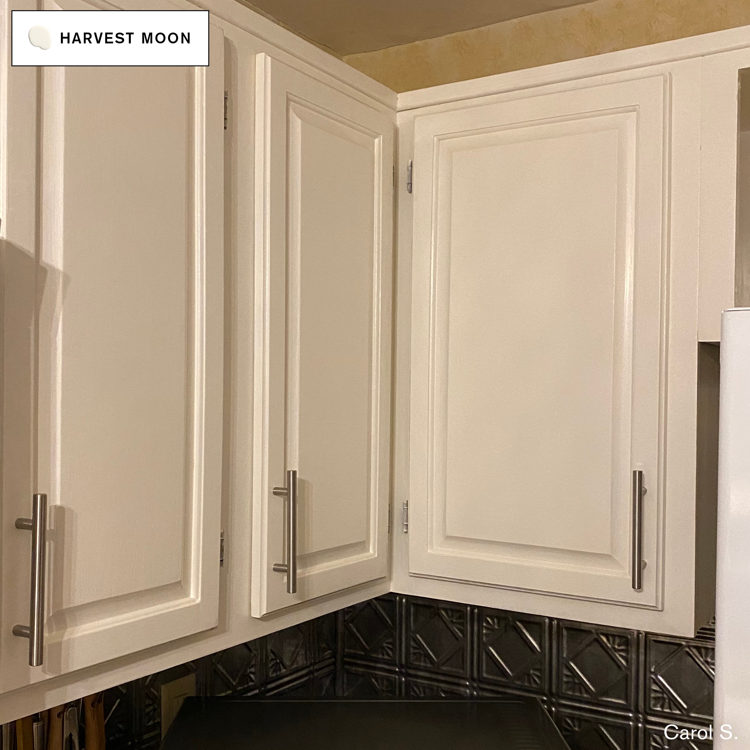 BACKDROP BD255304402 Cabinet-Furniture-Paint - View #6