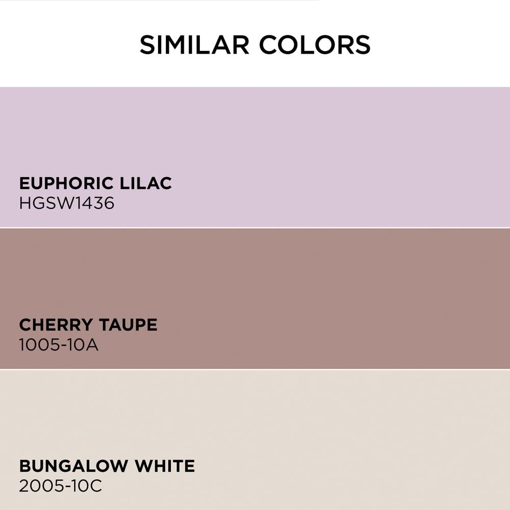 HGTV HOME by Sherwin-Williams 1004-10A-2557207 Int-Ext-Paint - View #6