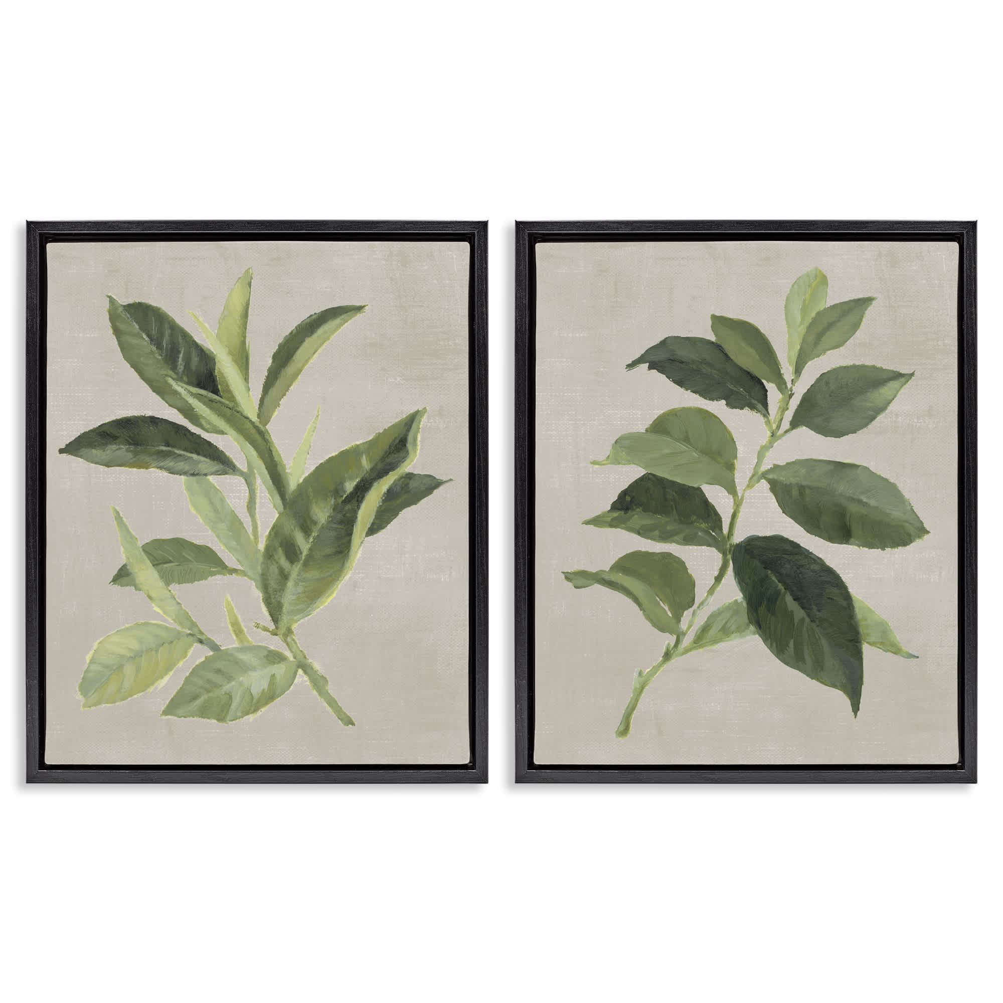 Stupell Industries B2-816-FFB-2PC-24X30 Green Tea and Coffee Plant Leaves 2 Piece Black Framed Floater Canvas Set By Lanie Loreth 31 x 25