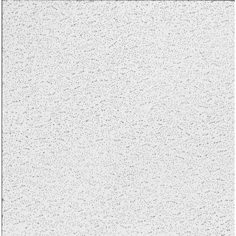 Armstrong Ceilings   - View #2