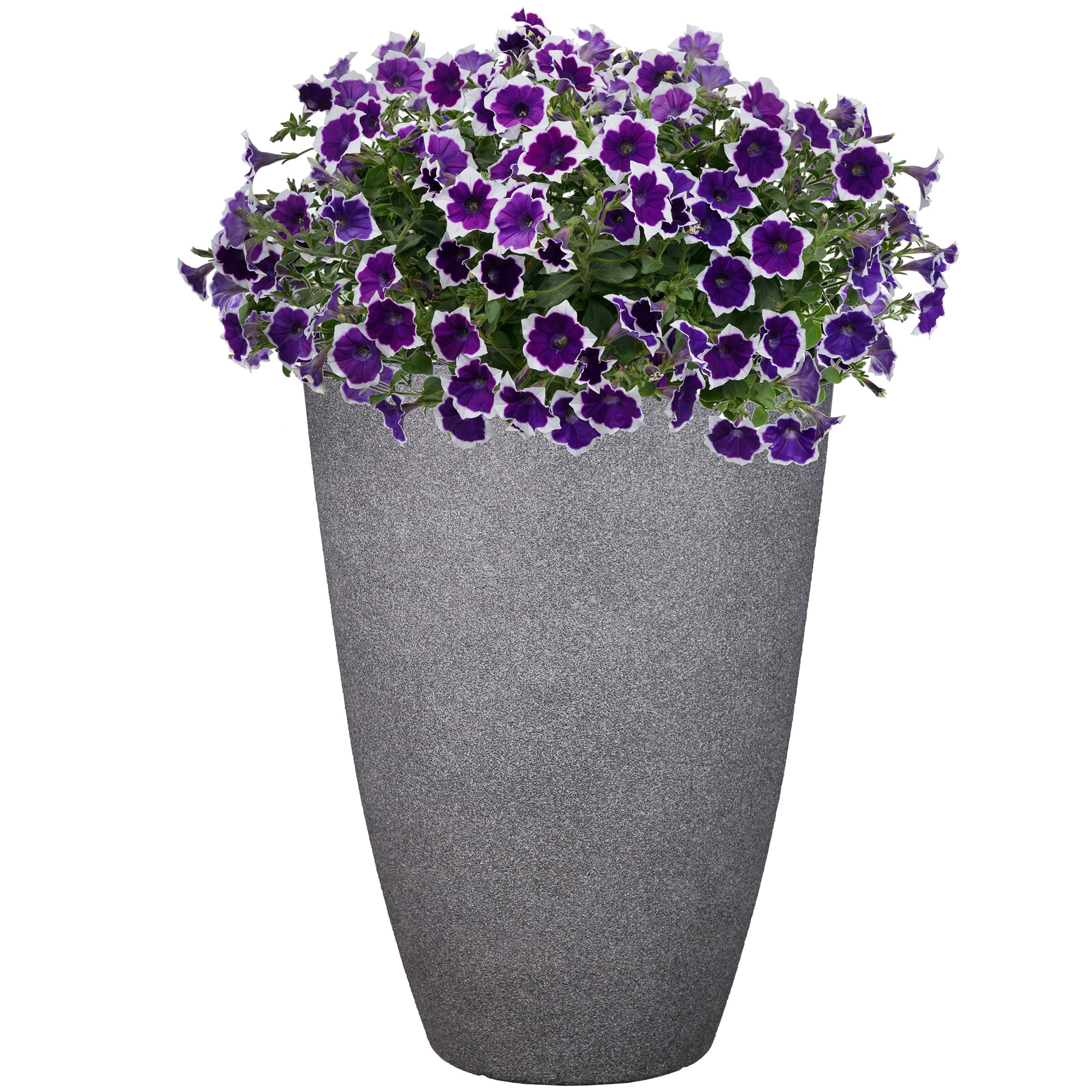allen + roth PLC2016TCC Planter-Window-Box - View #8