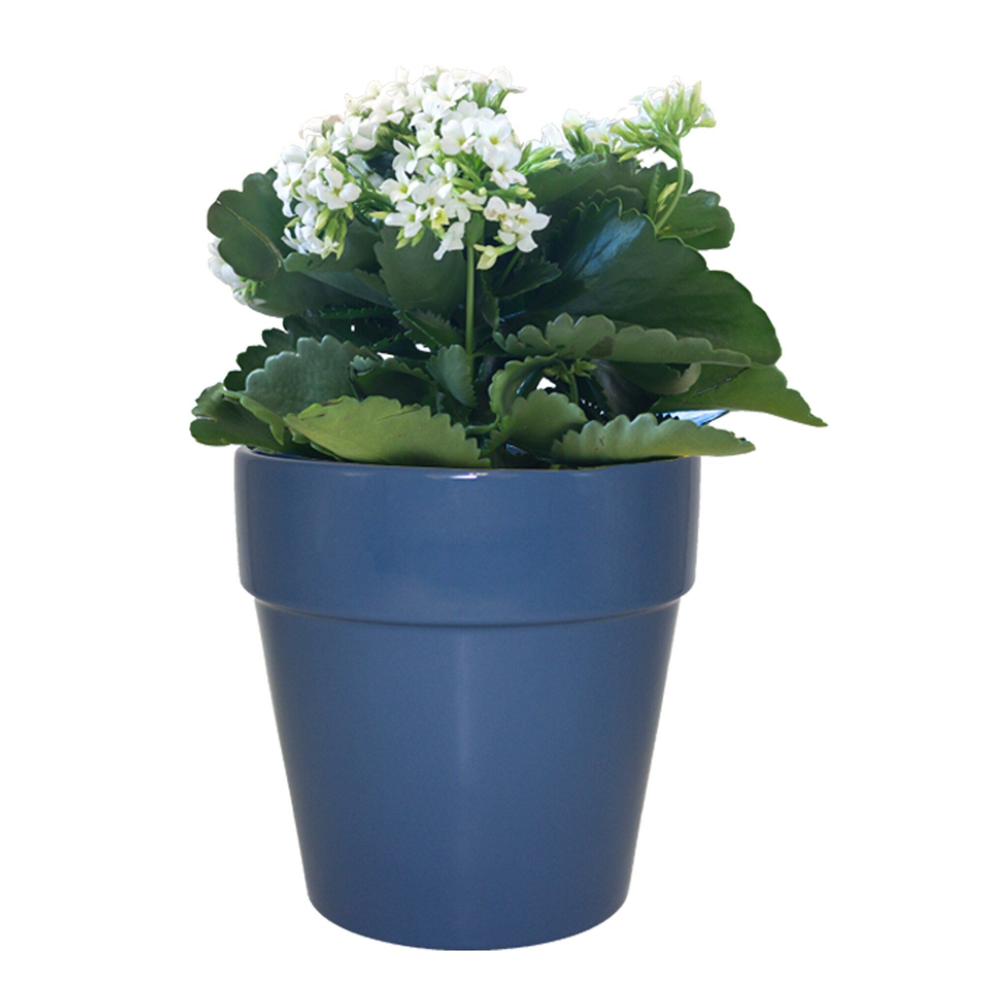 Garden Treasures CR10168-07M Planter-Window-Box - View #3