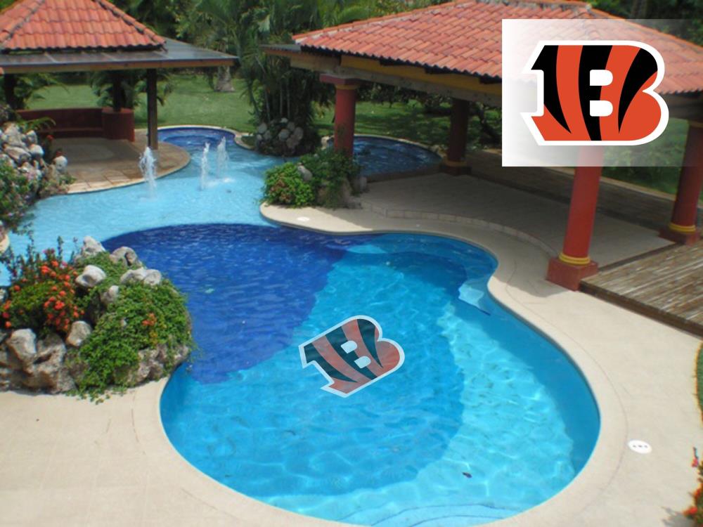 Applied Icon Cincinnati Bengals 59-ft Pool Graphic at