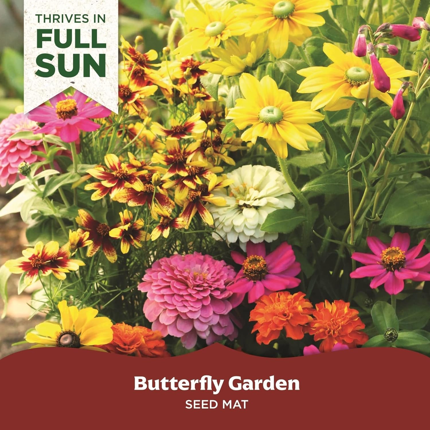 BloomingBulb 51115 seeds - View #2