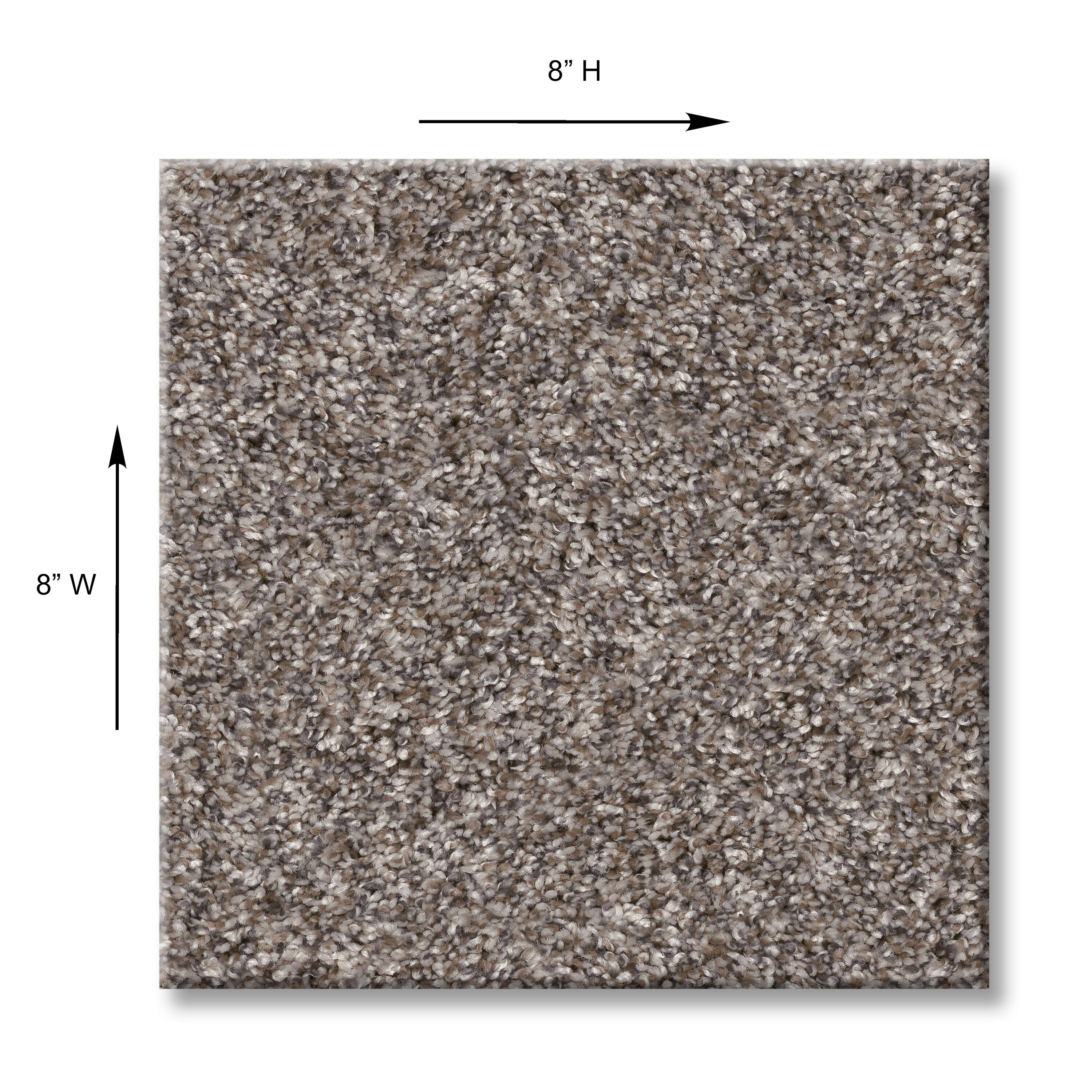 STAINMASTER 7L897 - 500 - SAMP Carpet-Samples - View #5
