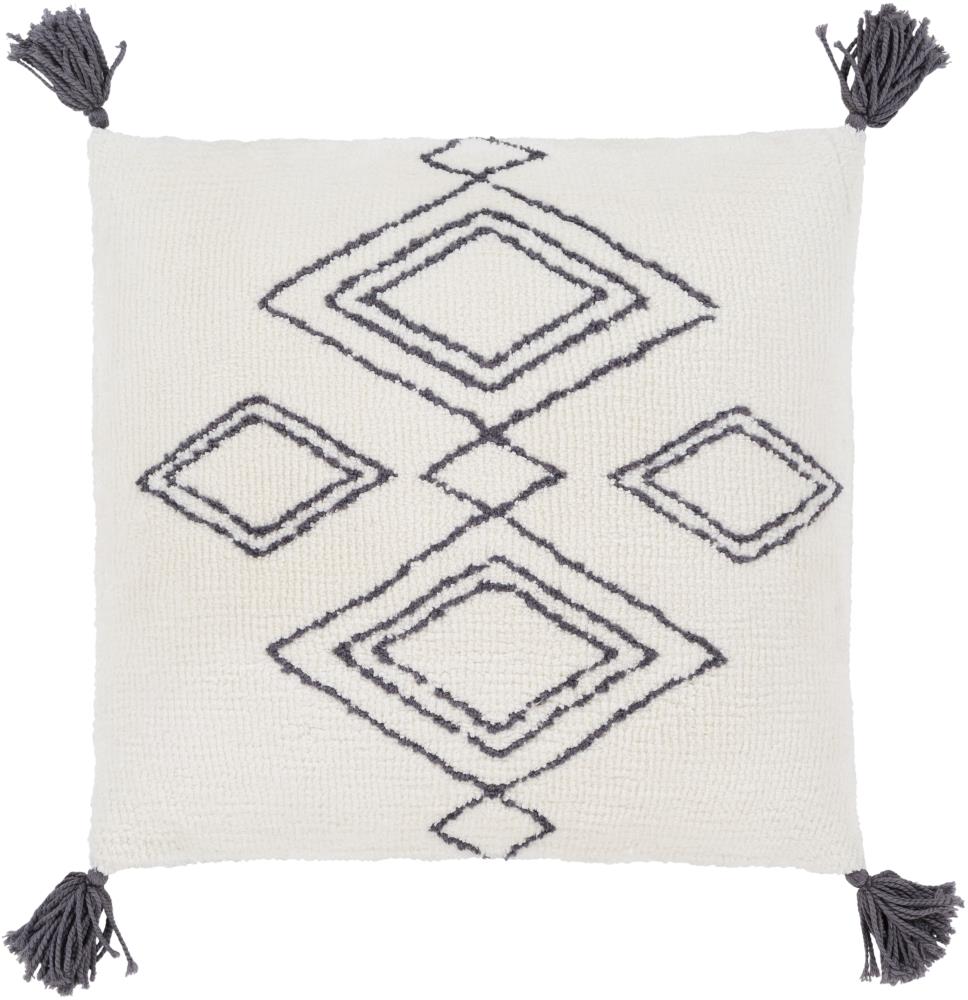 Surya BRH001-2222 Braith 22-in x 22-in Cream Indoor Decorative Cover