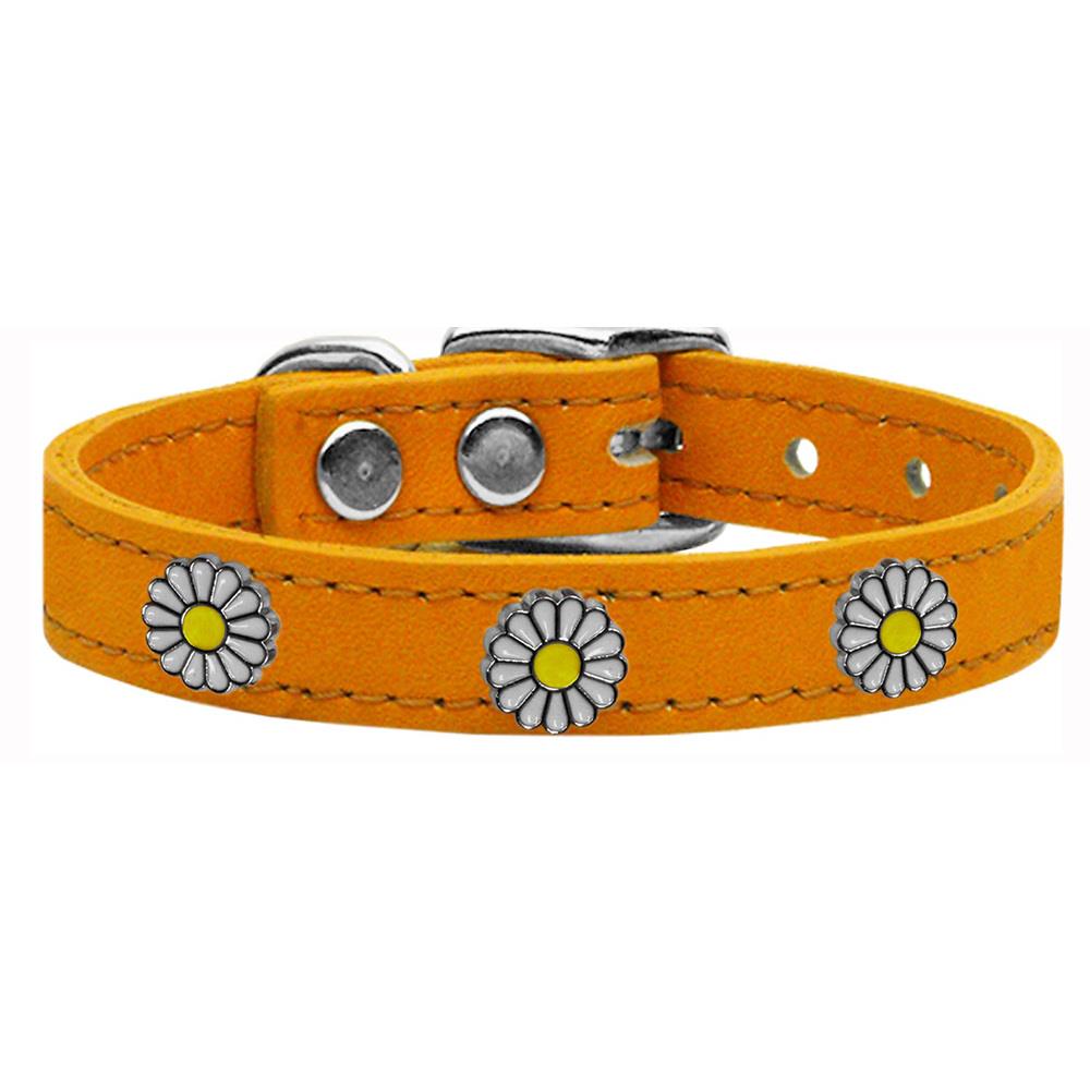 mirage dog collars