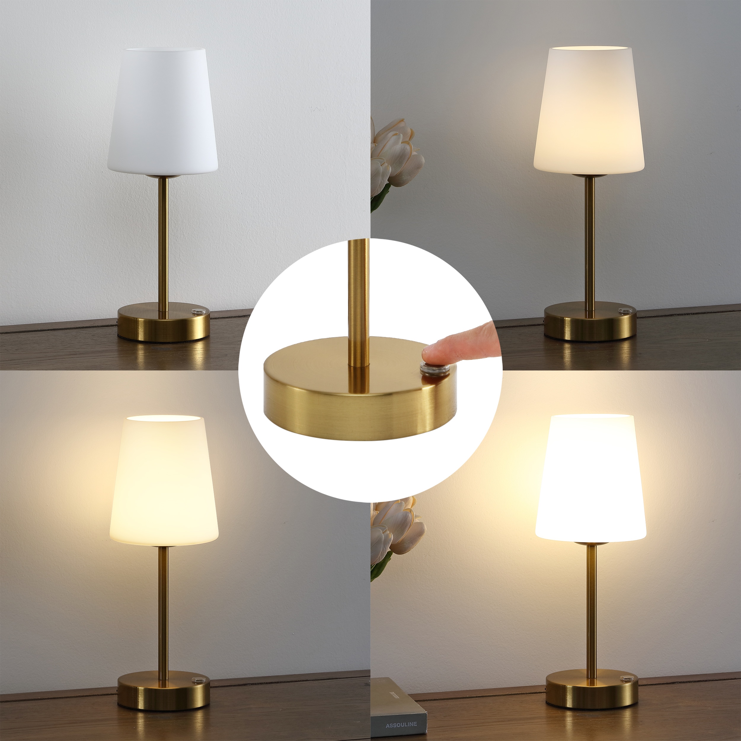 JONATHAN Y Carson Rechargeable Cordless 12.75-in Brass Gold LED Stick Table  Lamp with Glass Shade