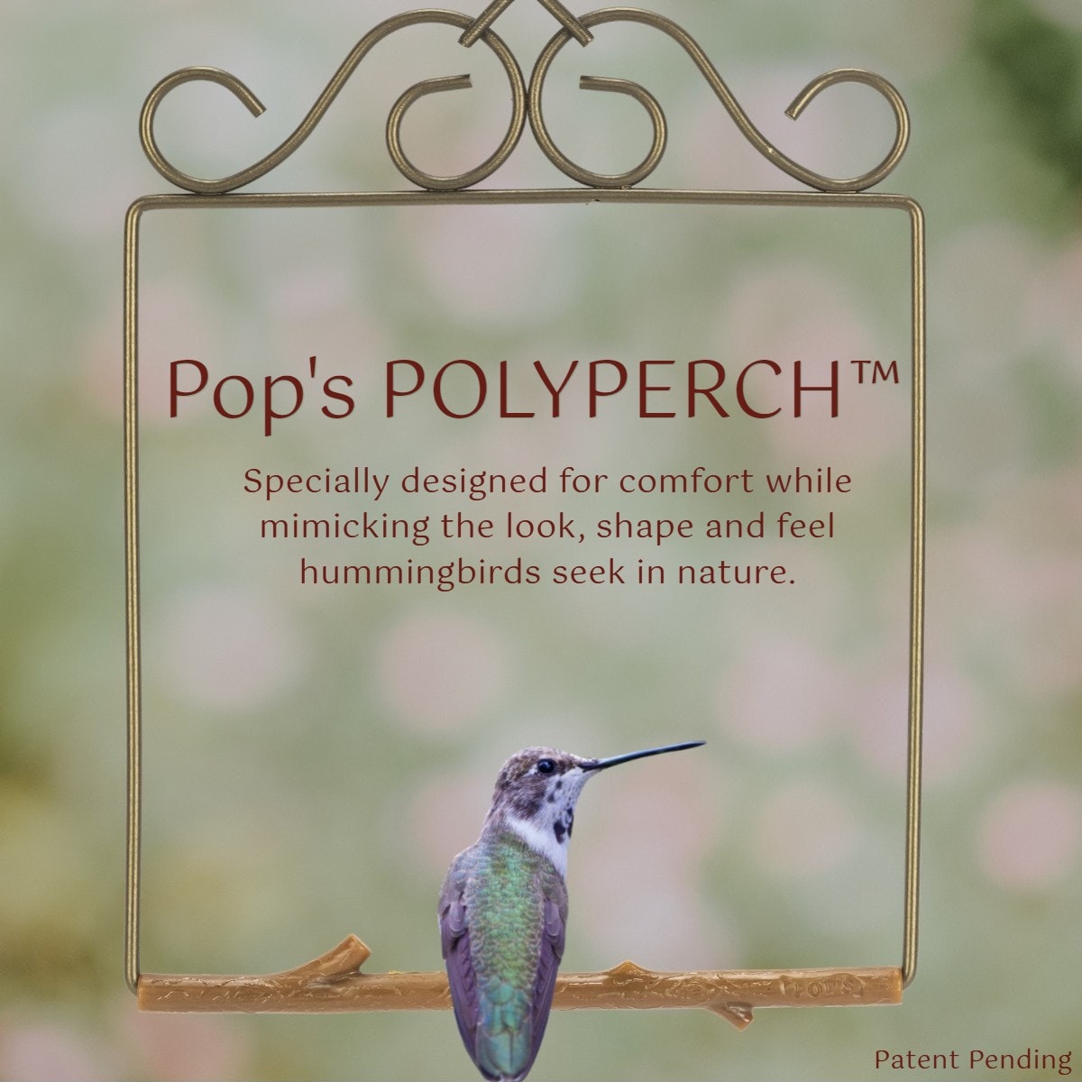 Pop's Birding OGB-BR Bird-Feeder-Accessories - View #5