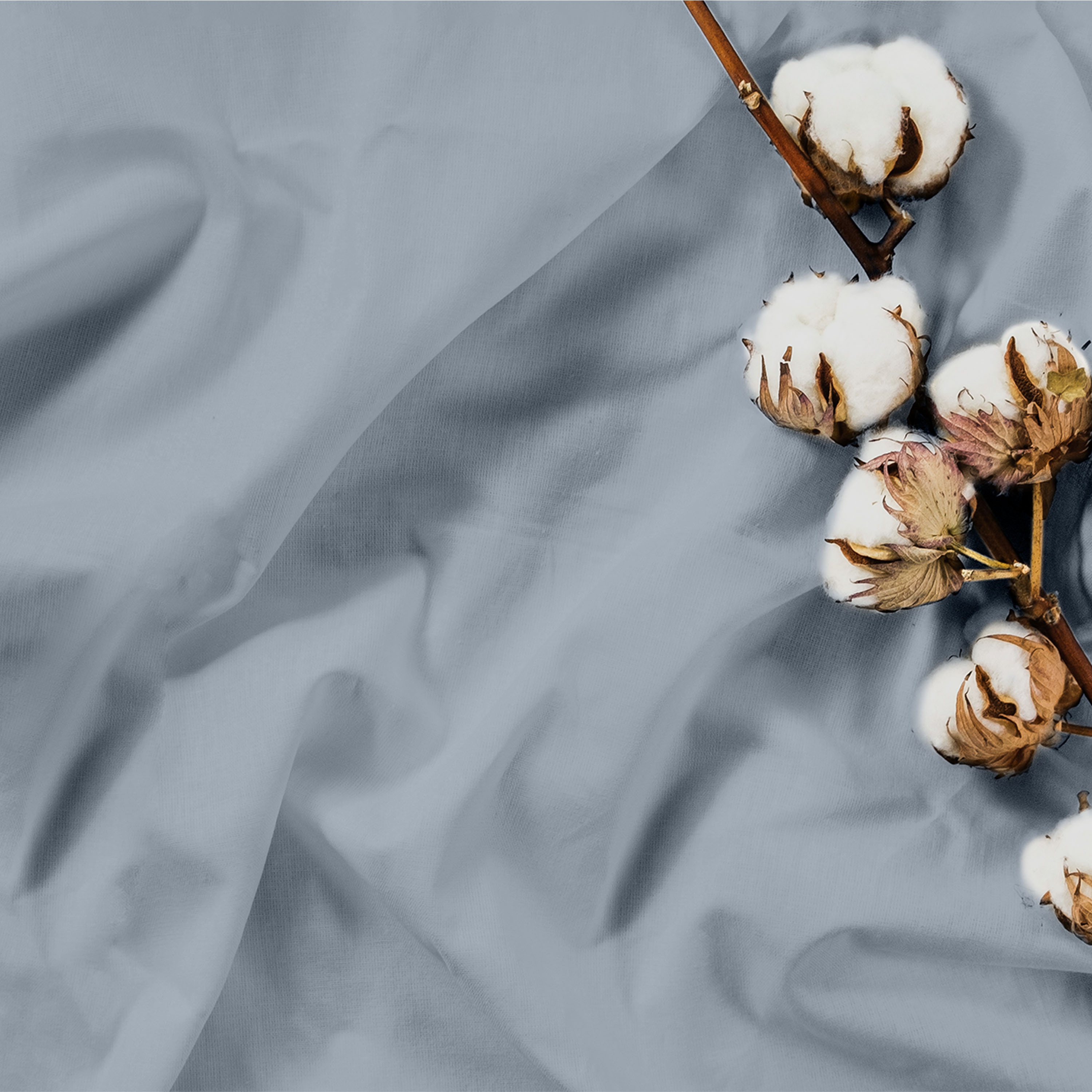 WestPoint Home 028828410887 Sheet-Sets - View #5