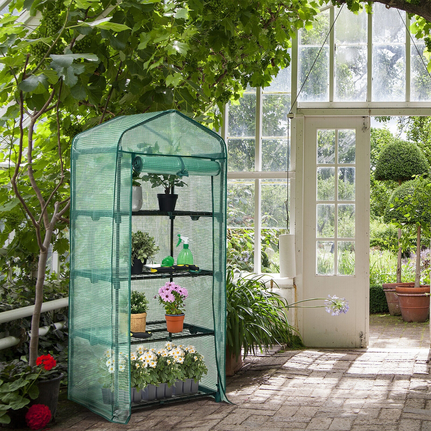 WELLFOR GT-HJY-3773 greenhouses - View #5