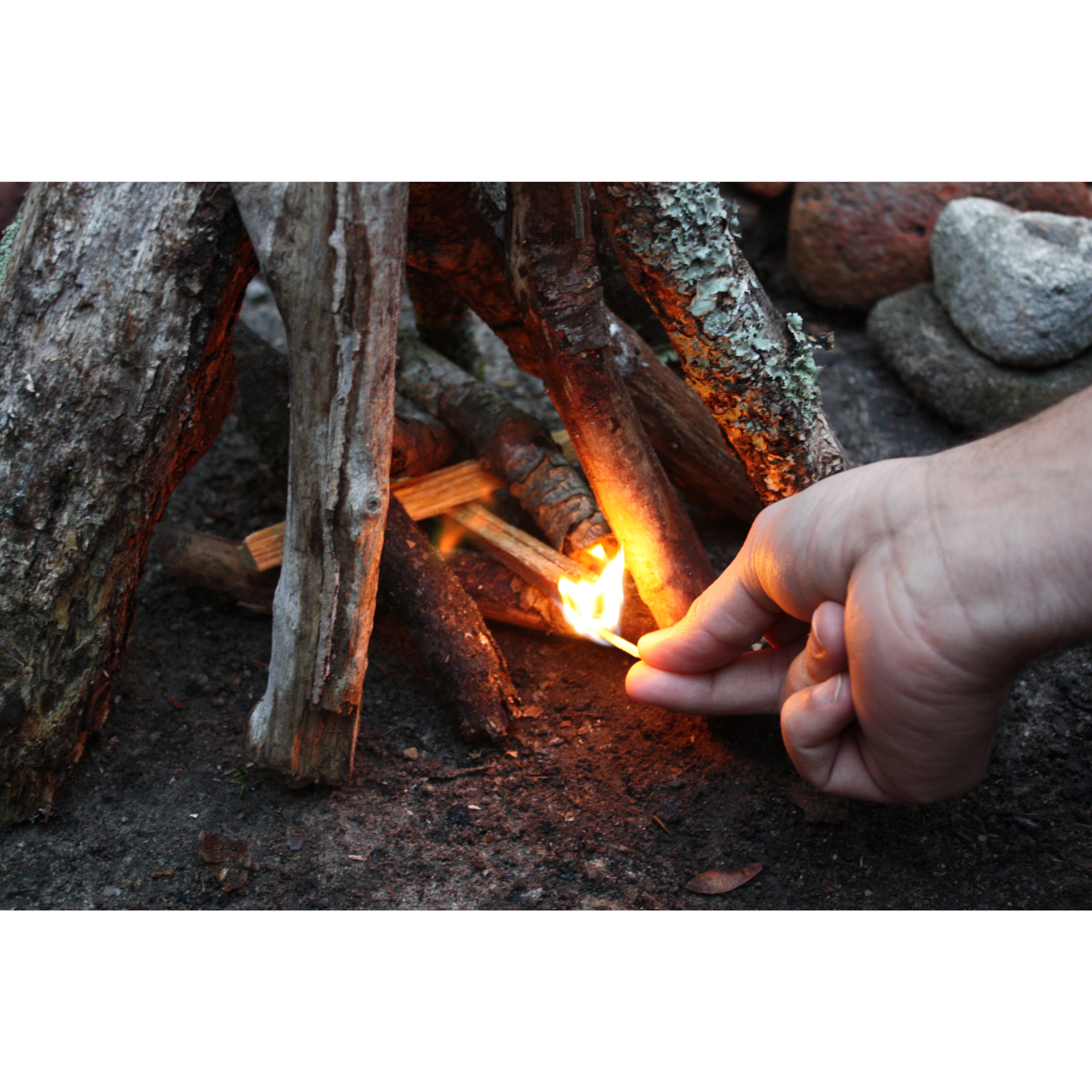 BetterWood Products 174806 Fireplace-Logs-Firestarters - View #7