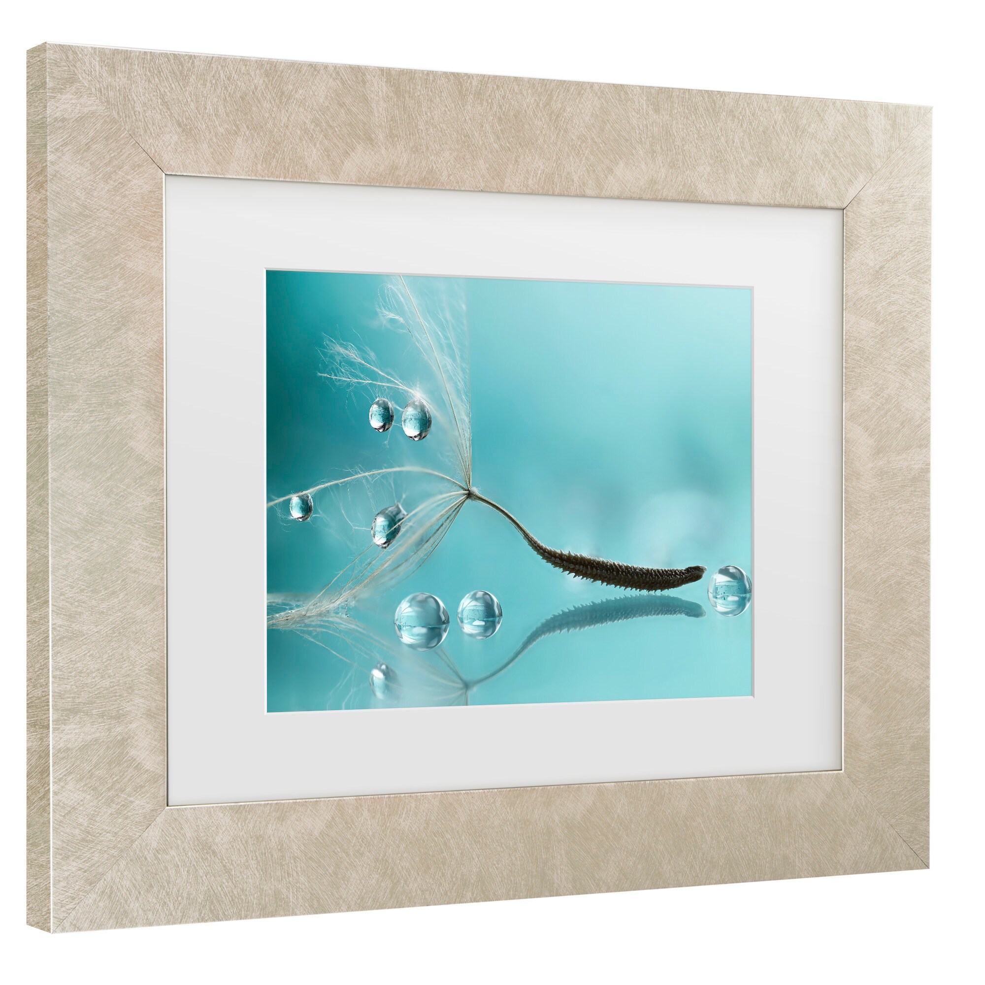 Trademark Fine Art 1X10945-C1114MF Wall-Art - View #3