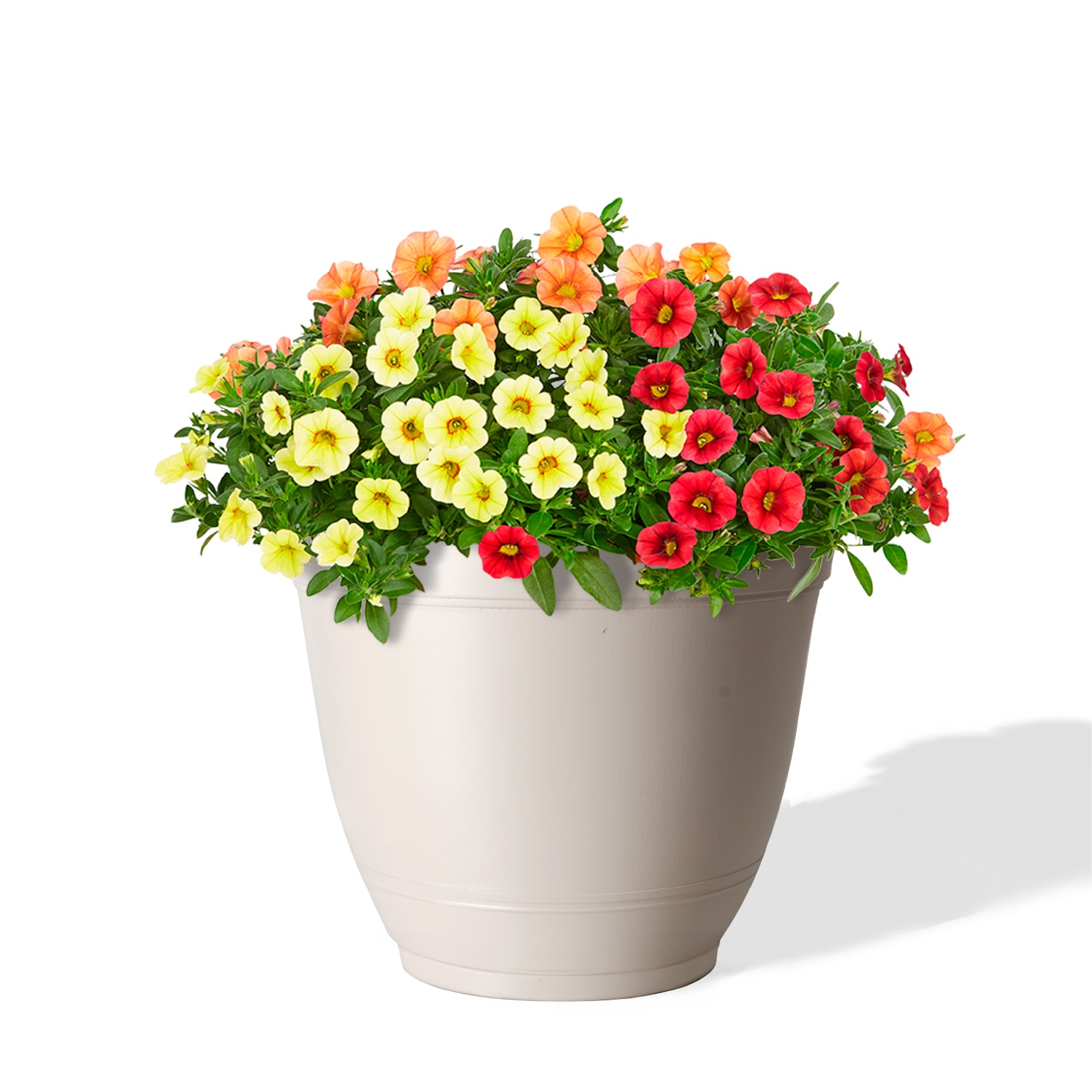 Style Selections DP2132V-WH Planter-Window-Box - View #2