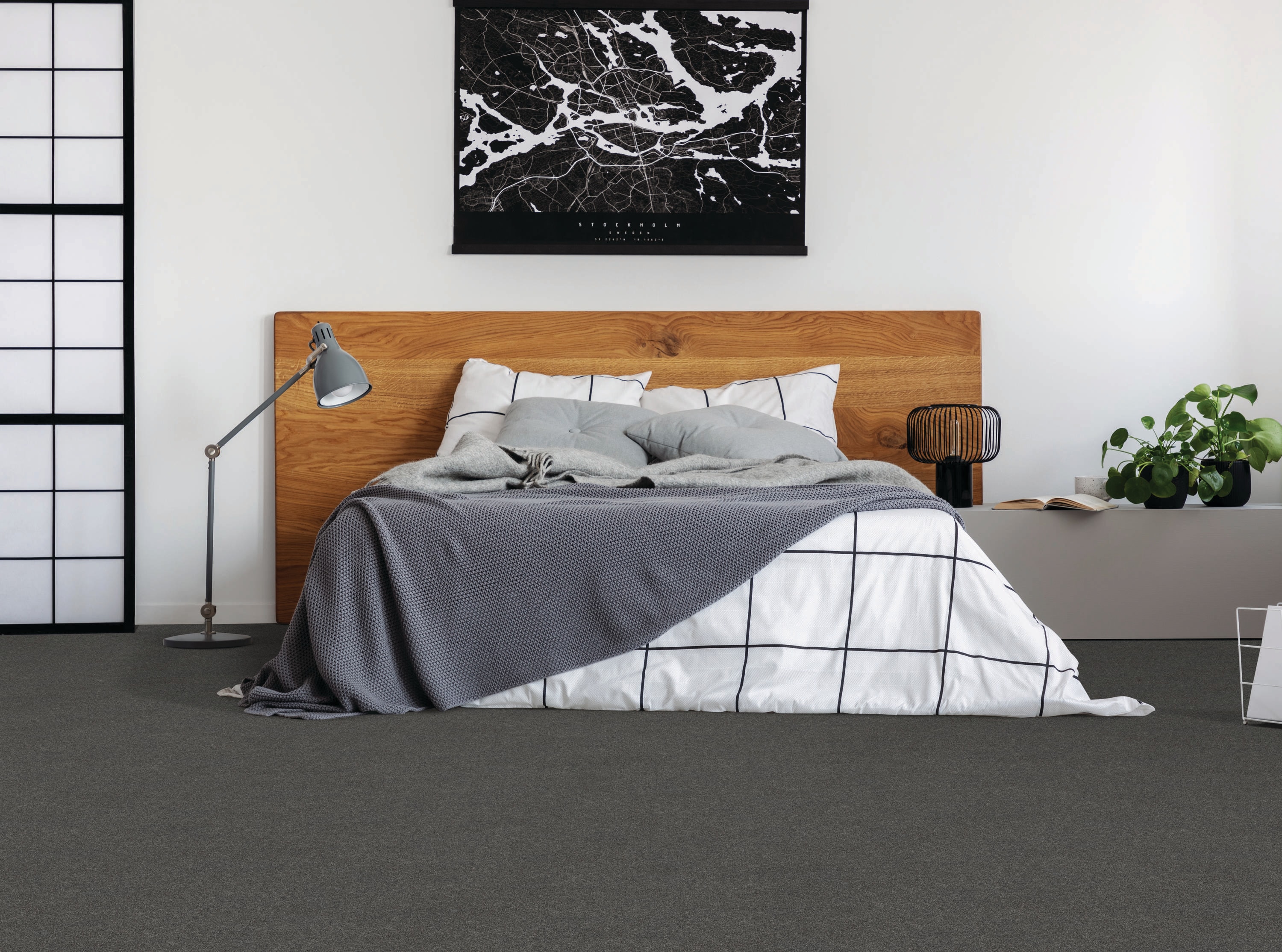 STAINMASTER LU481-W4123-1200-AB Carpet-Panel - View #3