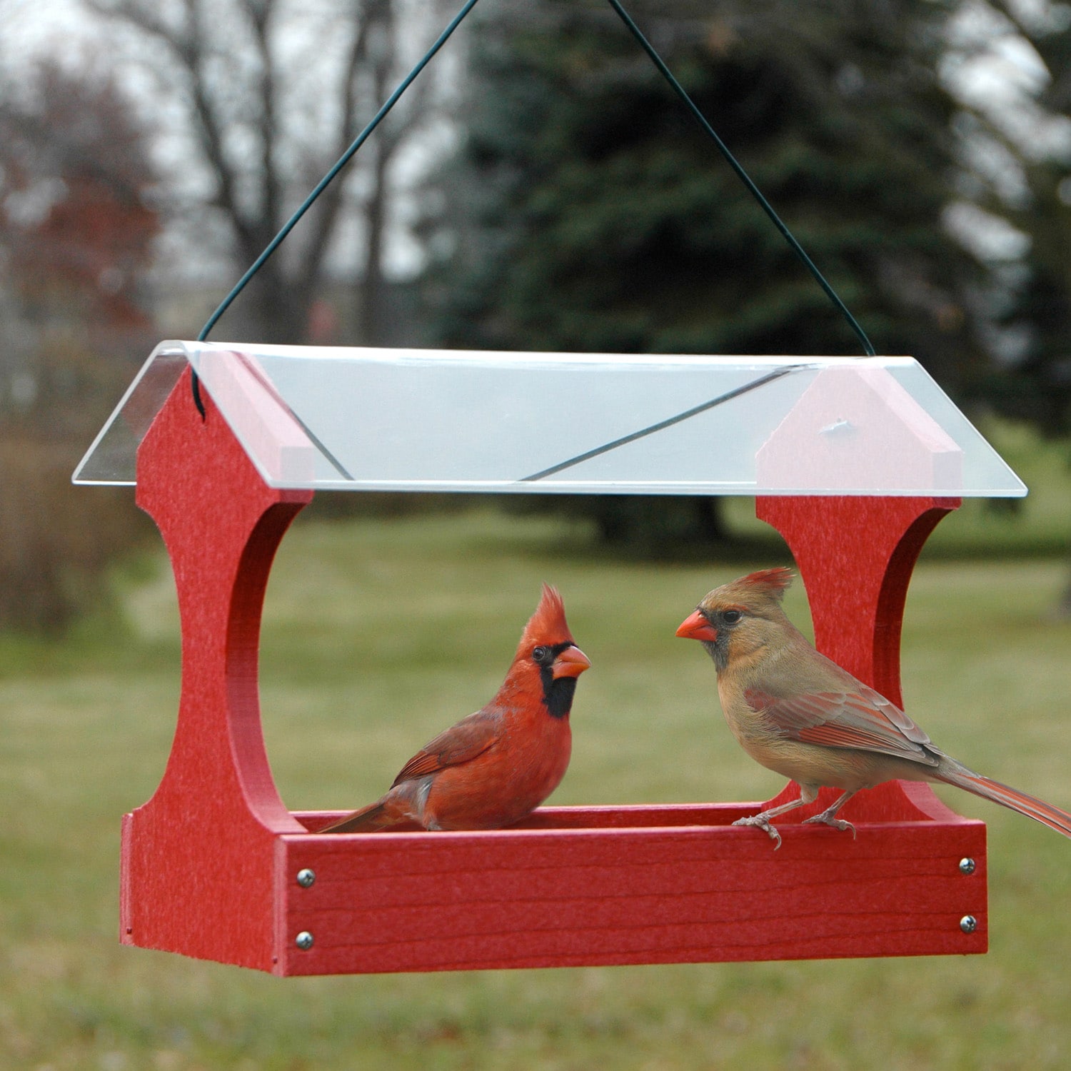 platform bird feeders for cardinals