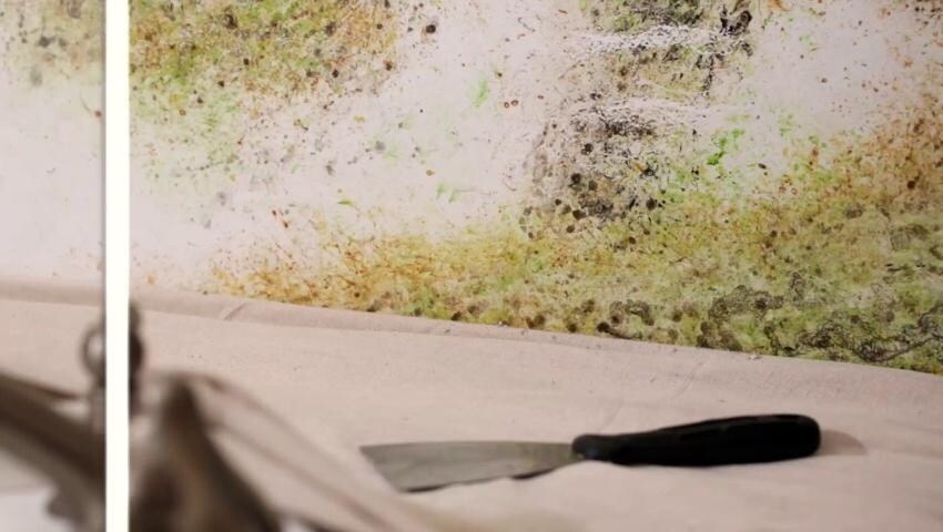 A thumbnail for the video