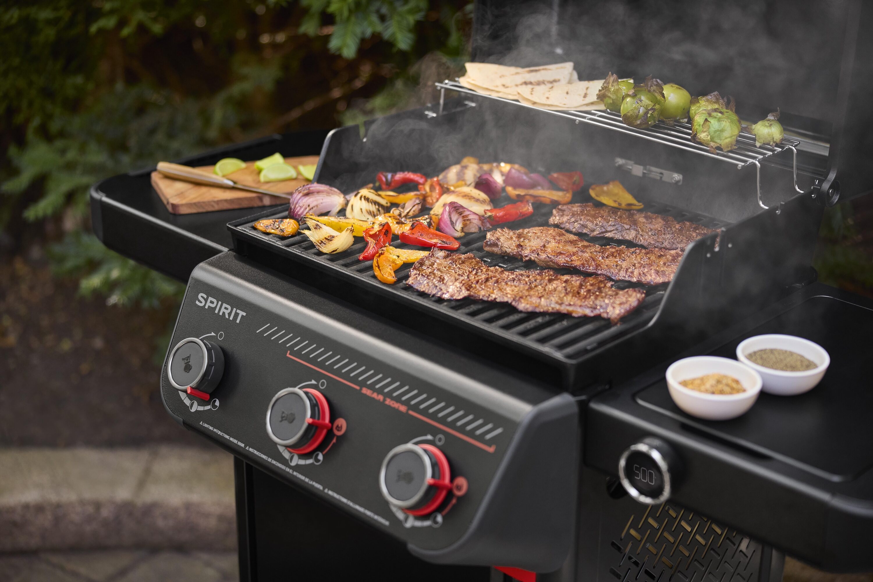 Weber 1501011 Gas-Grill - View #7