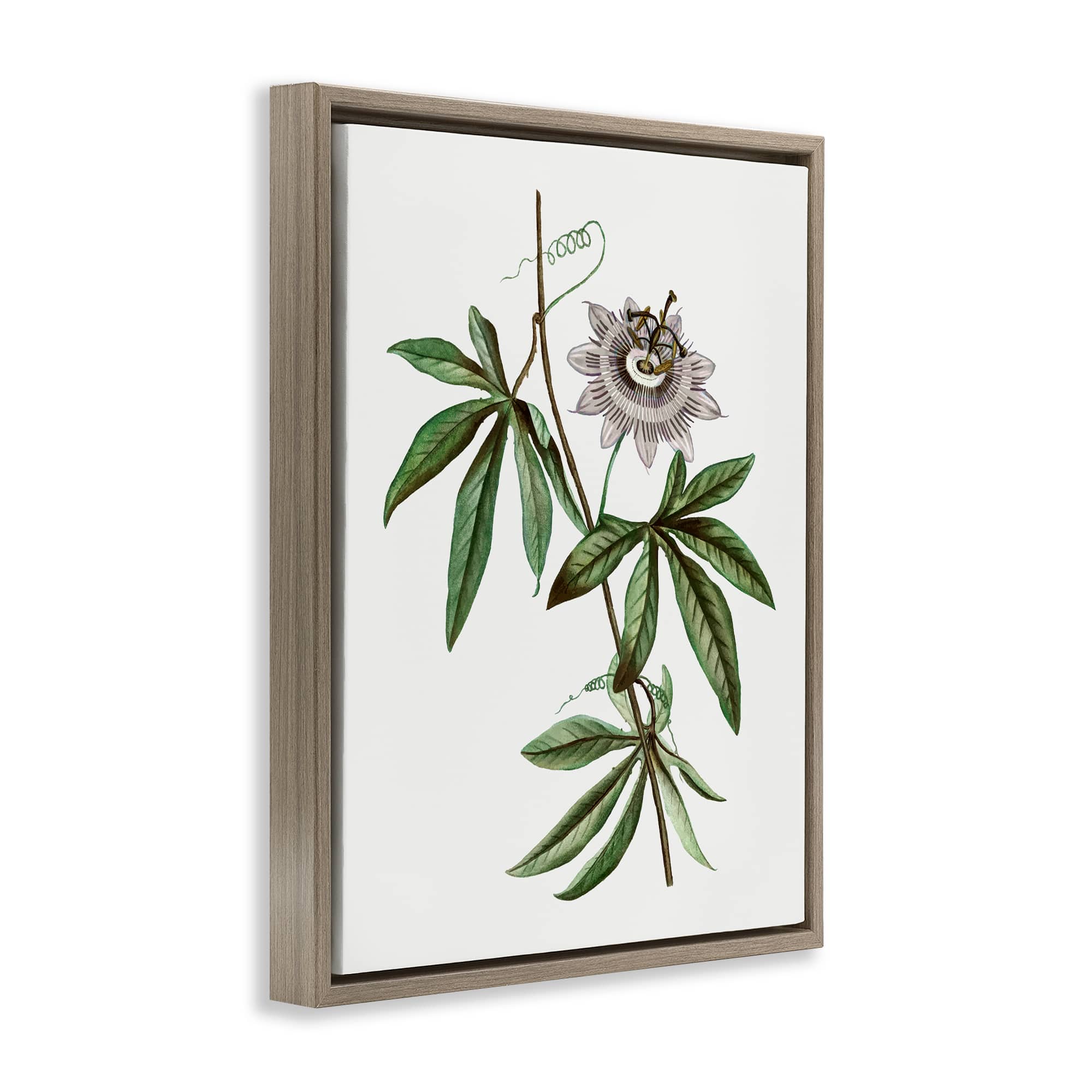 Stupell Industries BS-205-FFE-16X20 Wall-Art - View #2