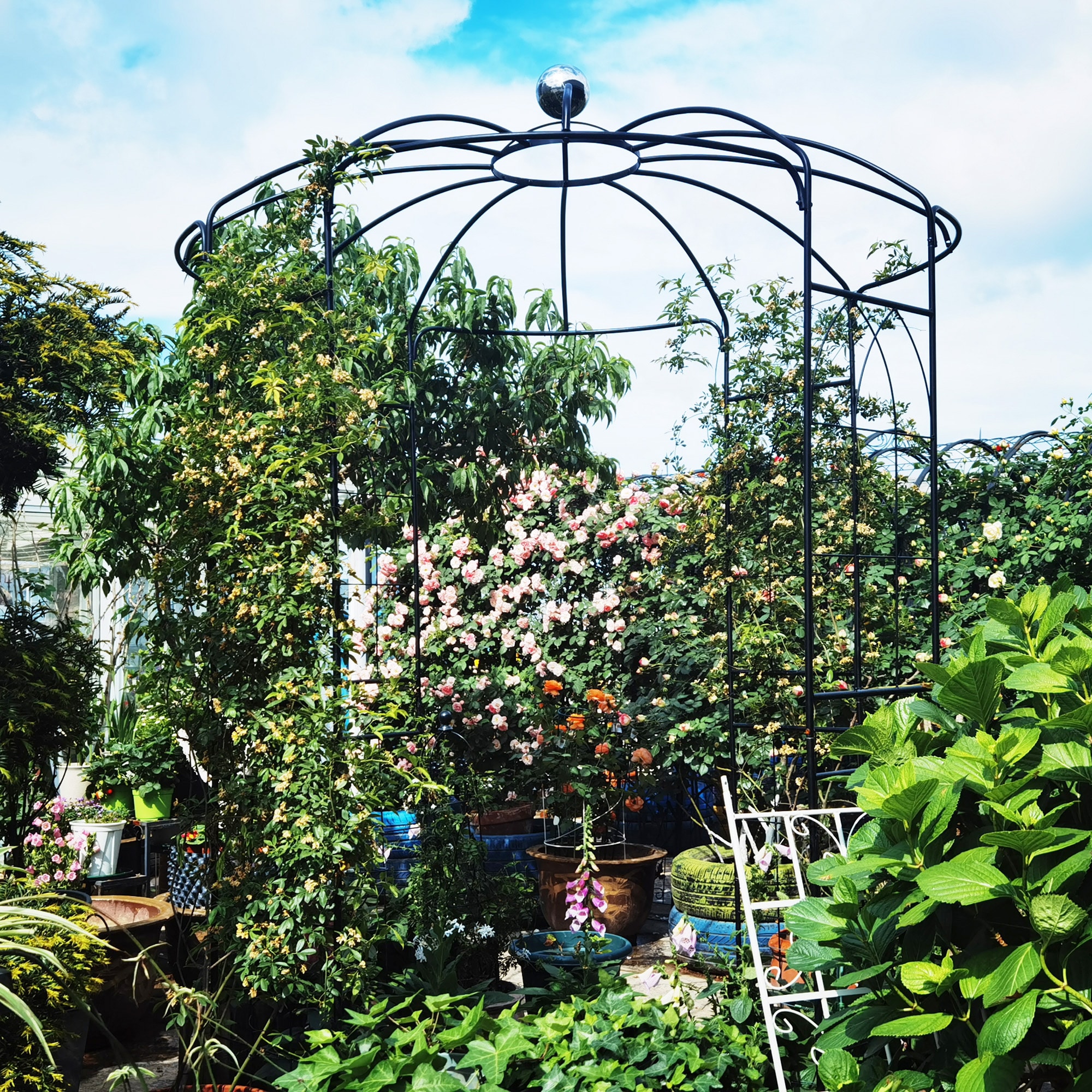 AHIOU HOME ZAAHG-81123GA Garden-Arbor - View #9