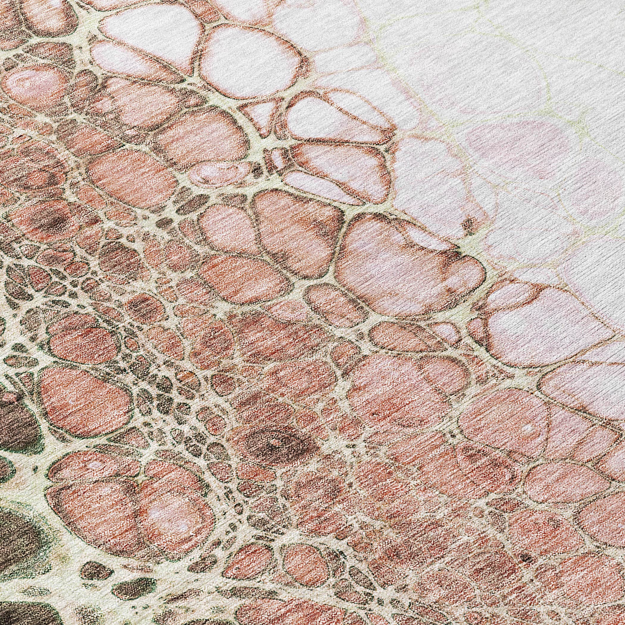 Addison Rugs ACN707SM8RO rugs - View #4