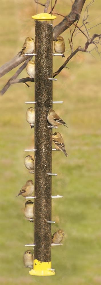 Woodlink 24576 Bird-Feeders - View #2