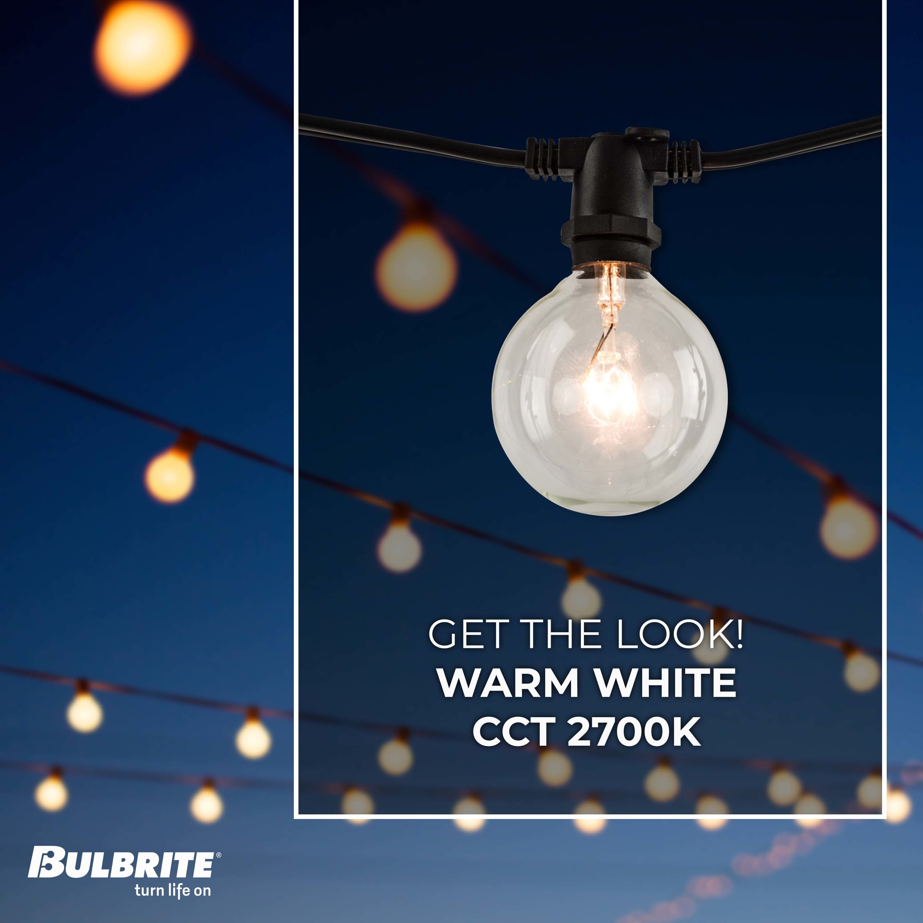 14 ft. Black Globe String Light with Clear Incandescent Bulbs