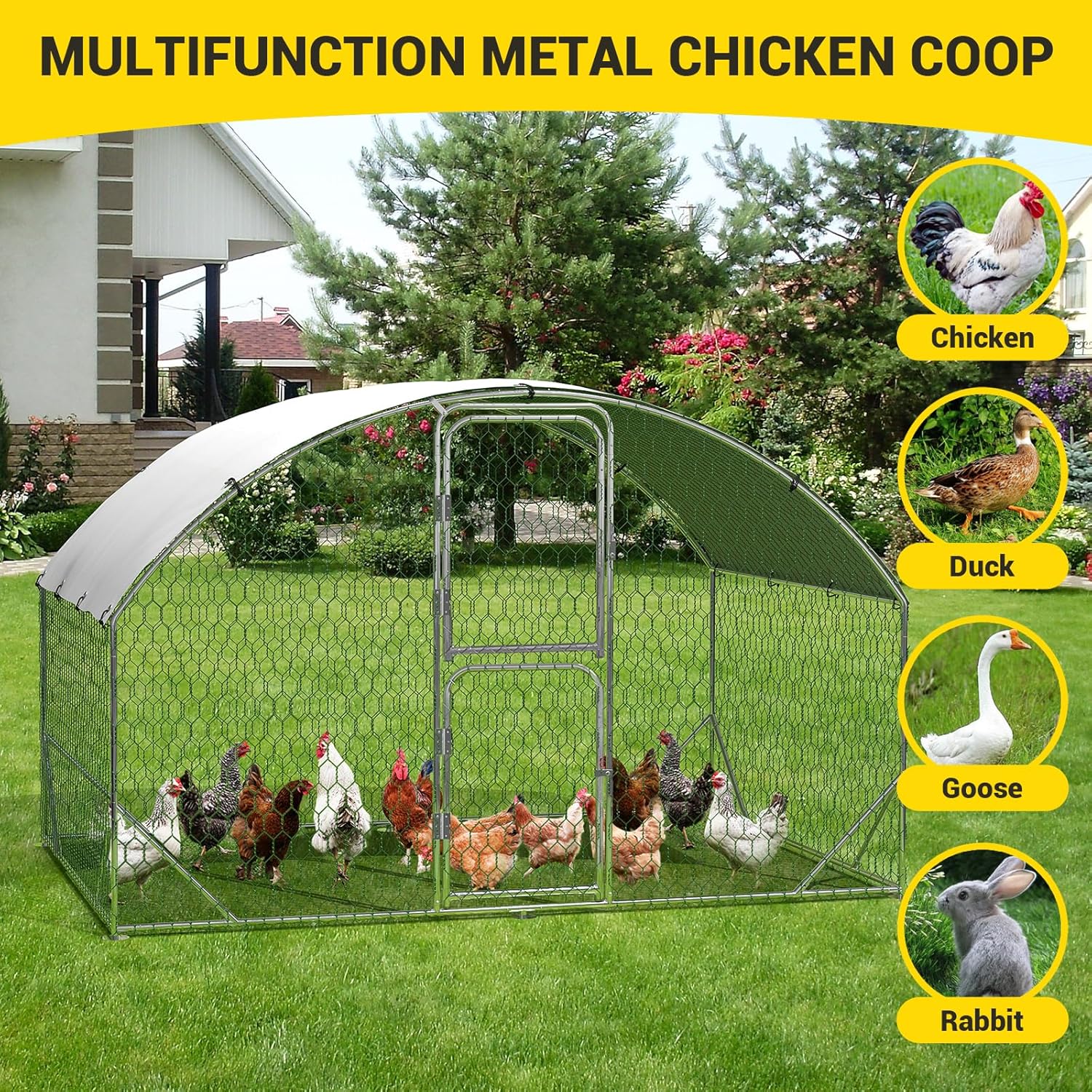 Qeetex BY01-PPG-334DGWXC Chicken-Coops-Rabbit-Hutches - View #5