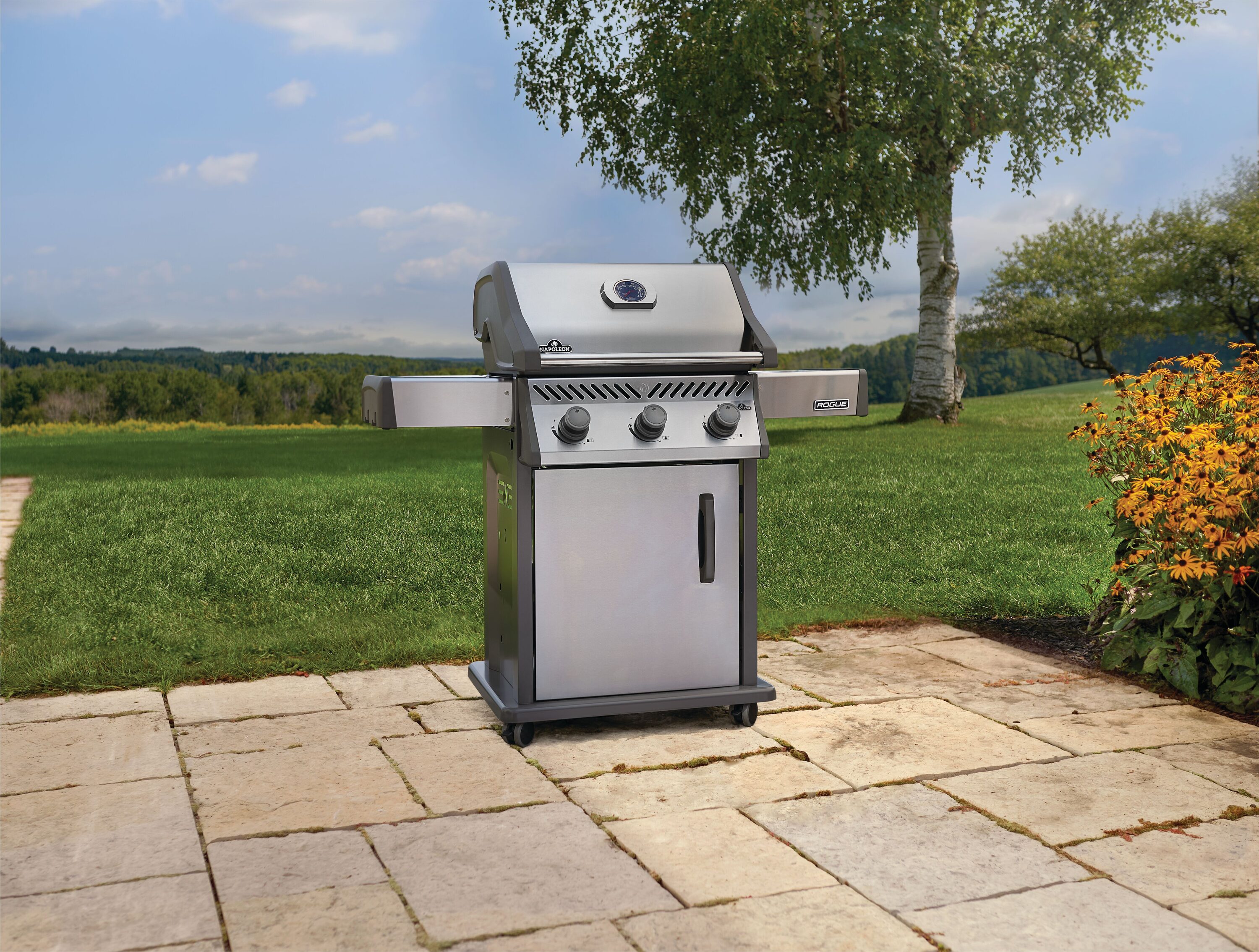 NAPOLEON R425NSS-2 Gas-Grill - View #3