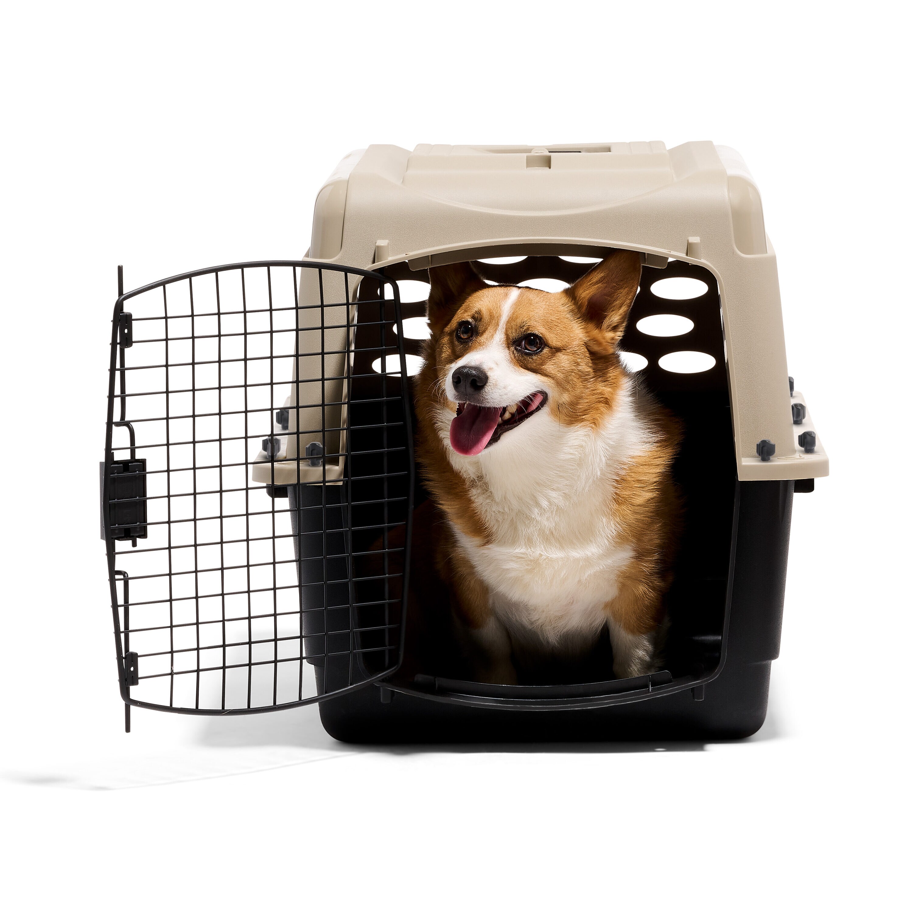 Petmate 21947 Pet-Crates-Carriers - View #9