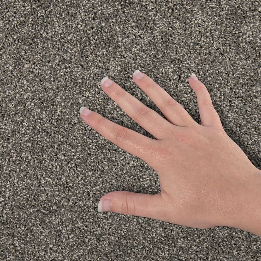 STAINMASTER SS034-12-L009 Carpet-Panel - View #4