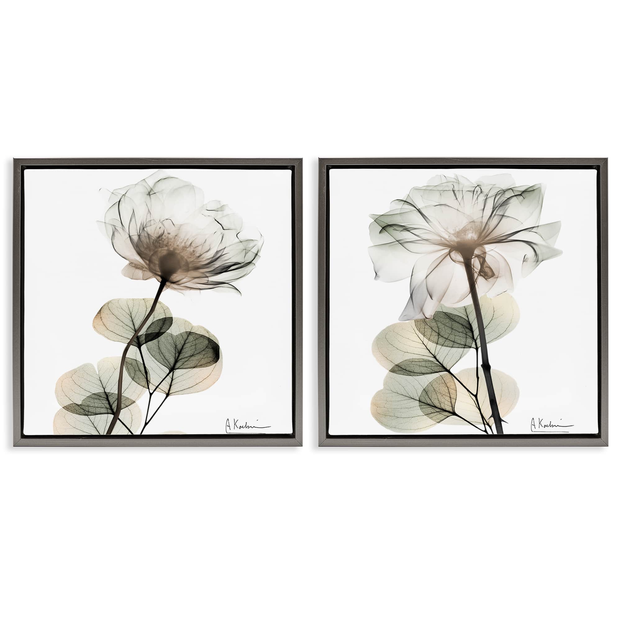 Stupell Industries B2-701-FFL-2PC-24X24 Cream Transparent Floral 2pc Floating Frame Set design by Albert Koetsier