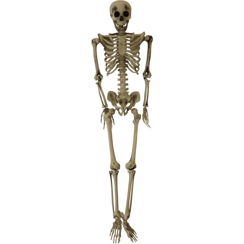 17" Latex Posable Skeleton Halloween Prop Decoration 