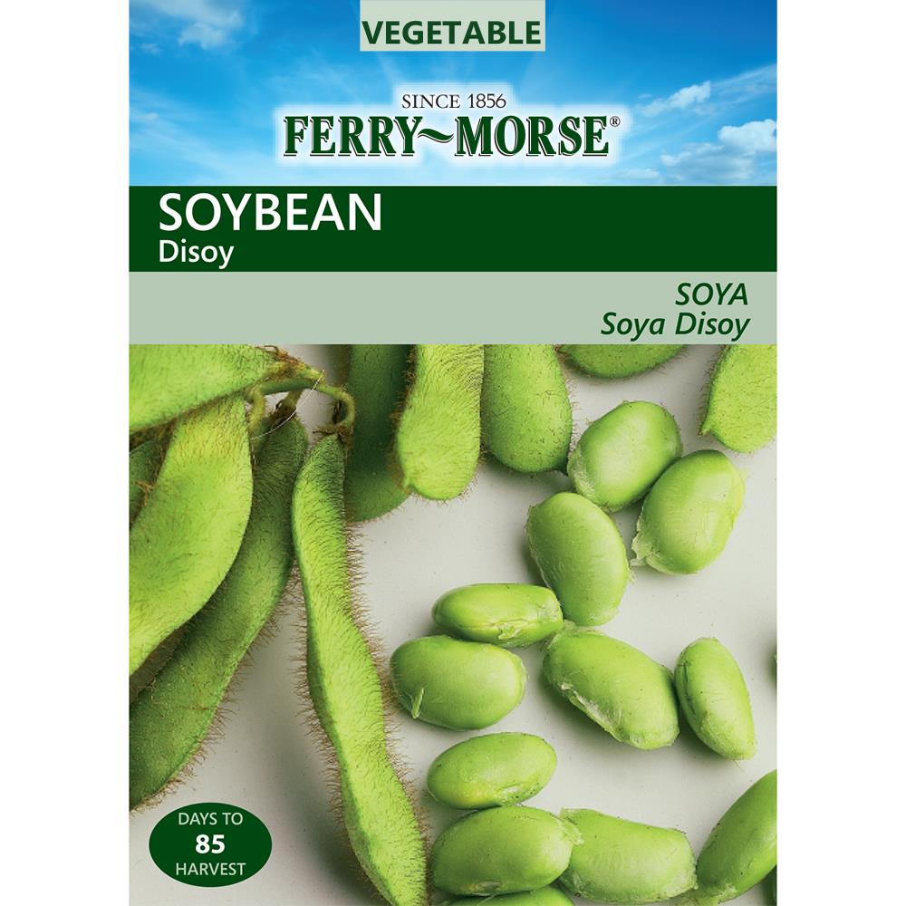 Ferry-Morse 473435.159.406334 6-Gram Soybean Disoy (L0000)