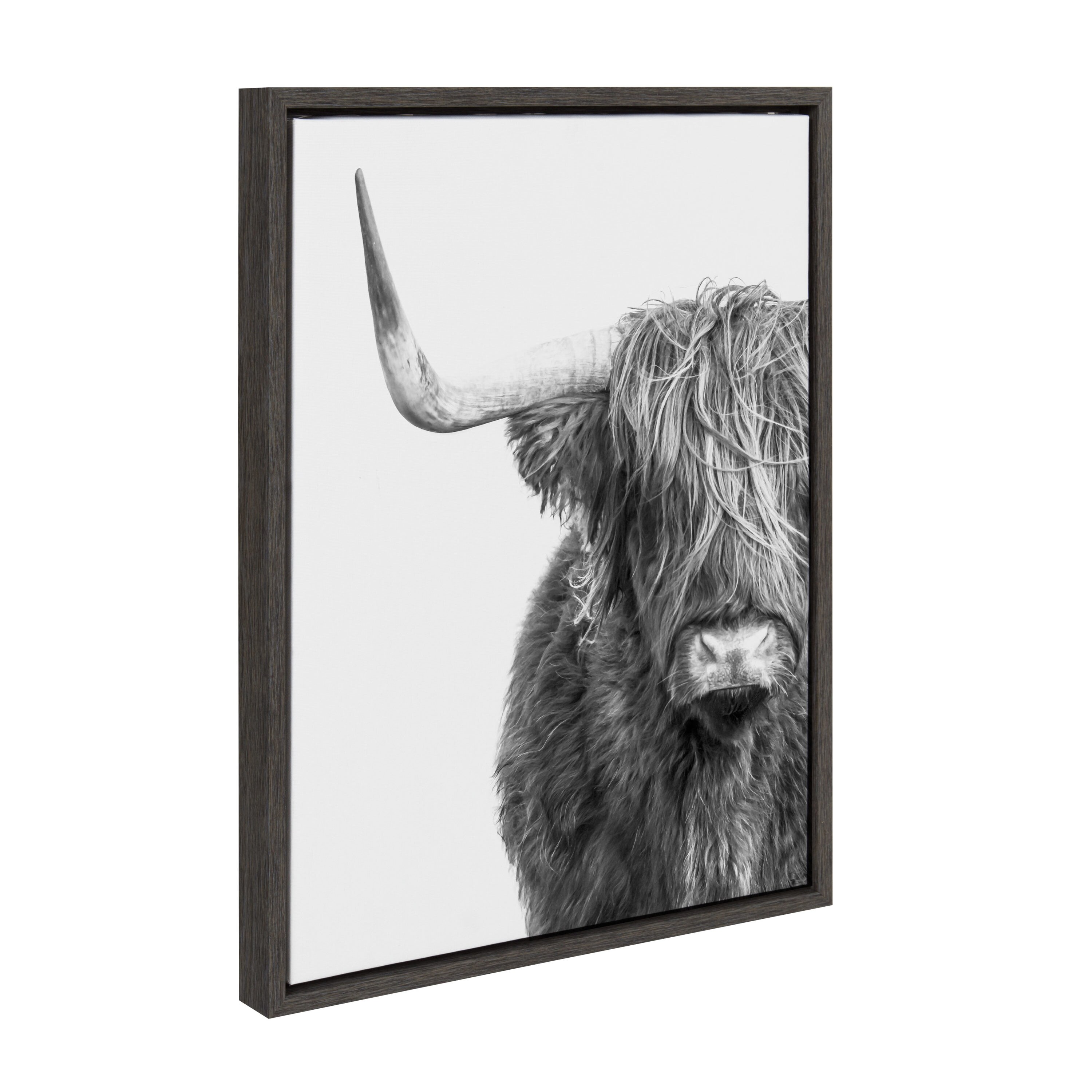 Kate and Laurel Bw Highland Cow No. 1 Amy Peterson Gray Framed 24-in H ...