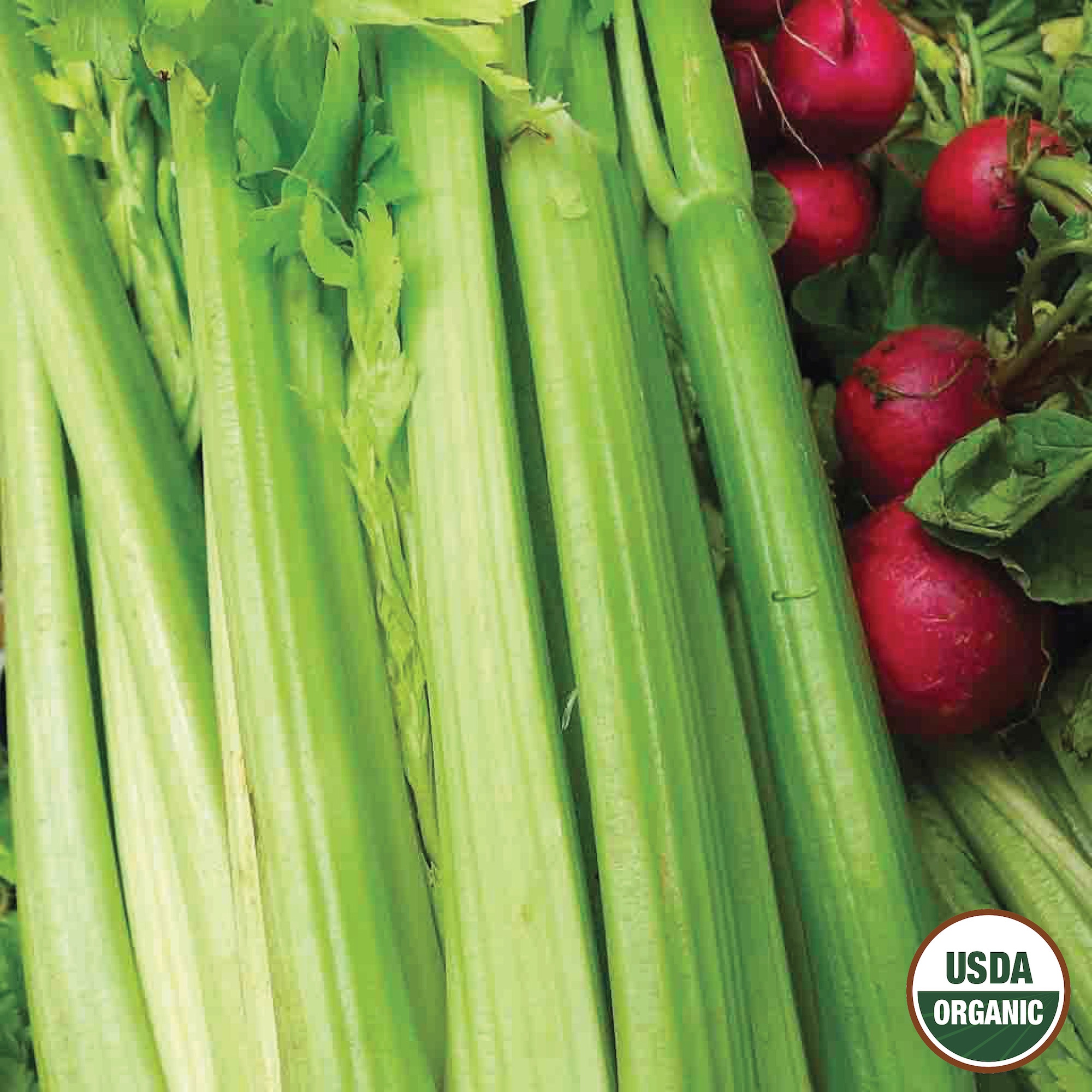 Ferry-Morse LC25.9532 Vegetable-Herb-Seeds - View #3