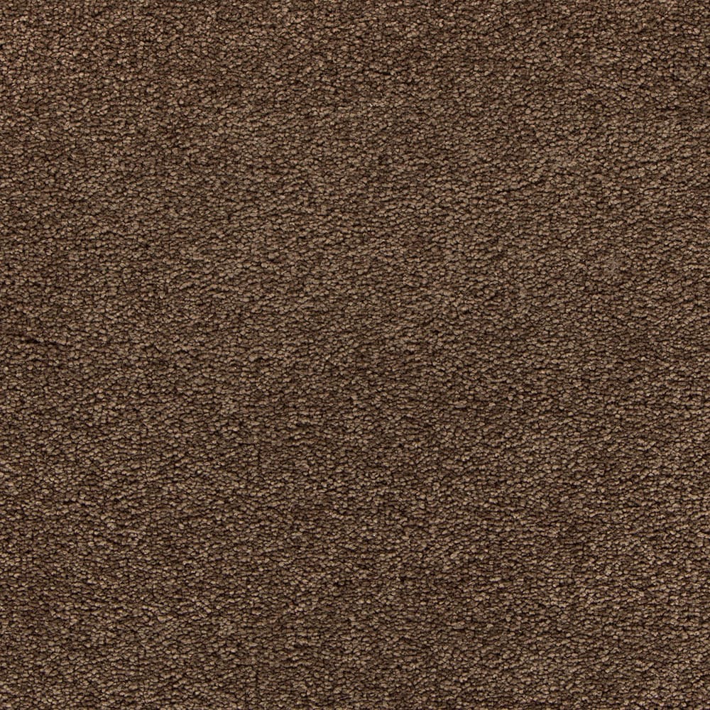 STAINMASTER STP37-15-L014 Uptown trend I Ancient Oaks Textured Indoor Carpet